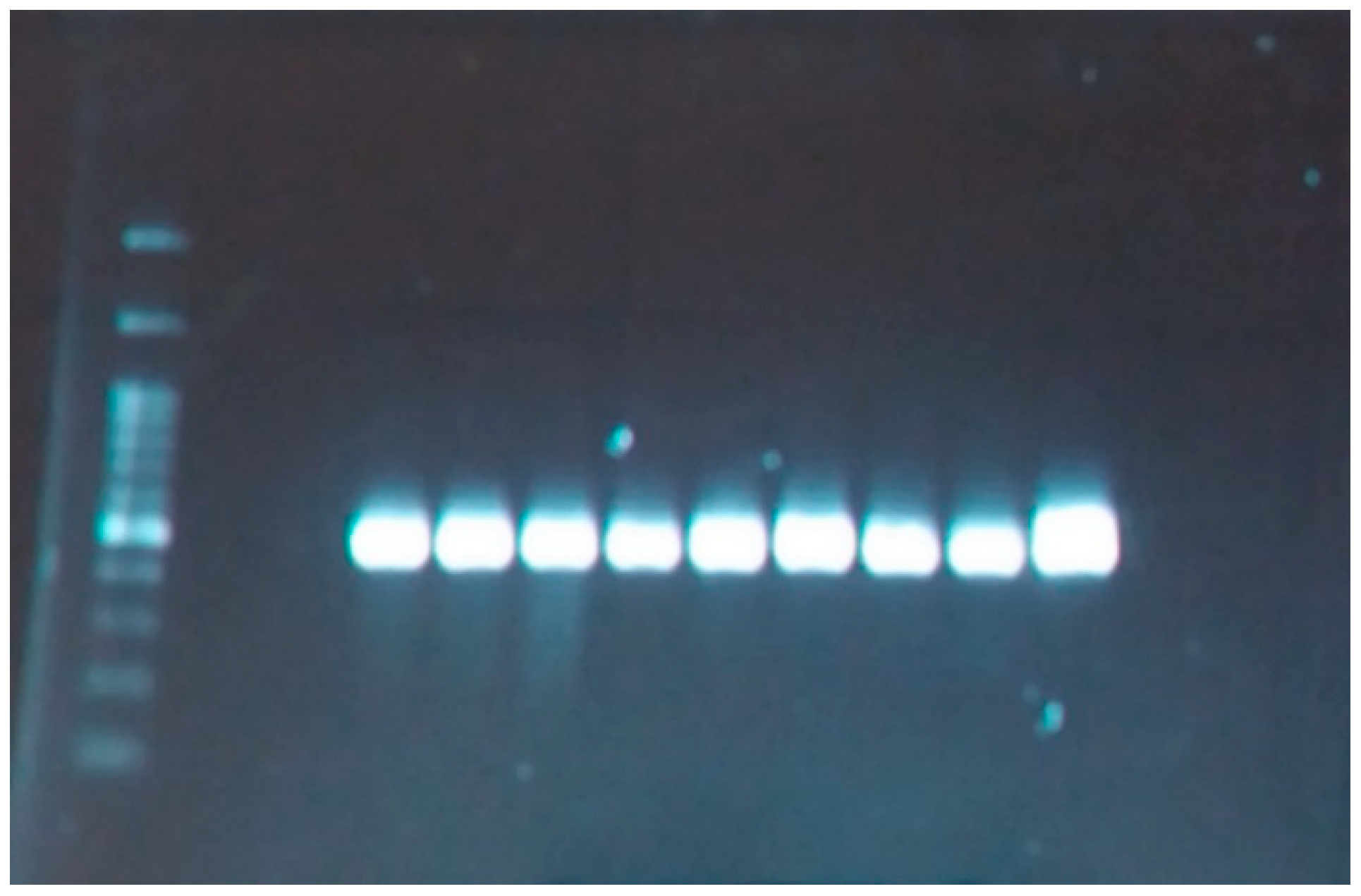 Agriculture 13 00697 g003 Agriculture 13 00697 g003