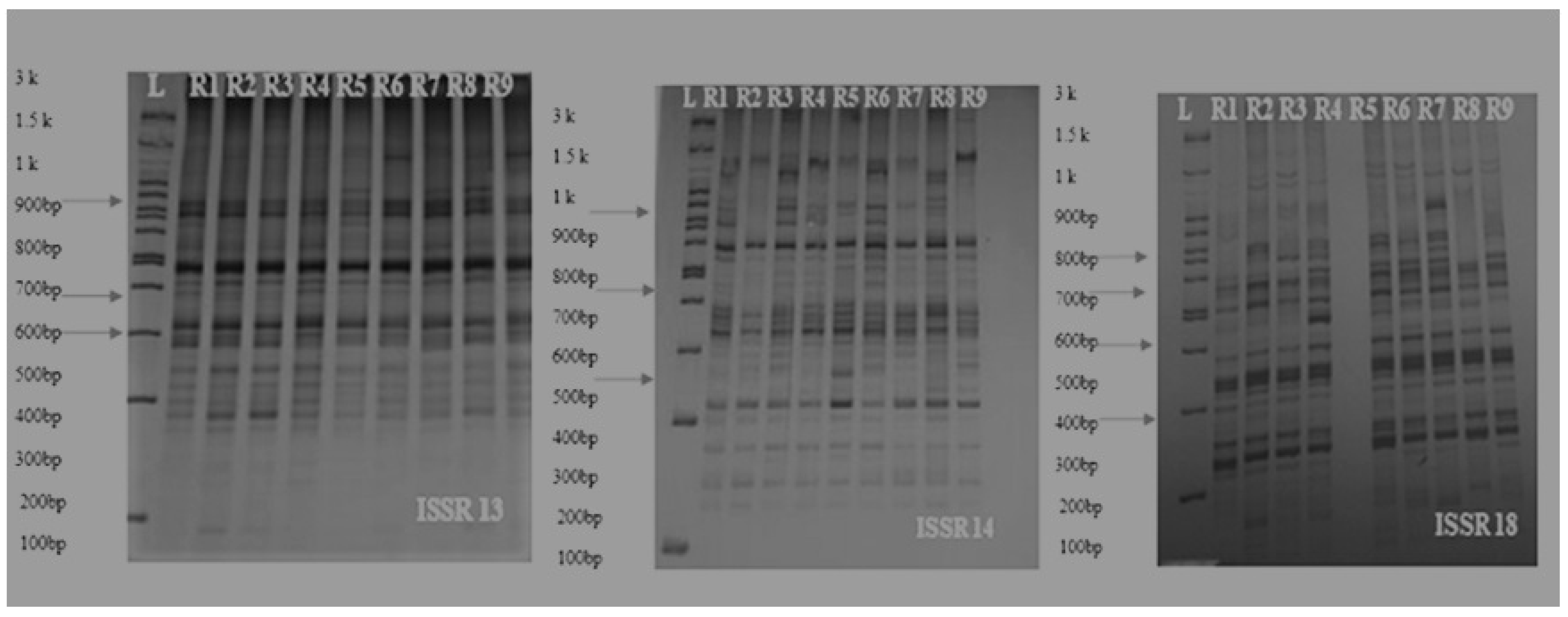 Agriculture 13 00697 g015 Agriculture 13 00697 g015