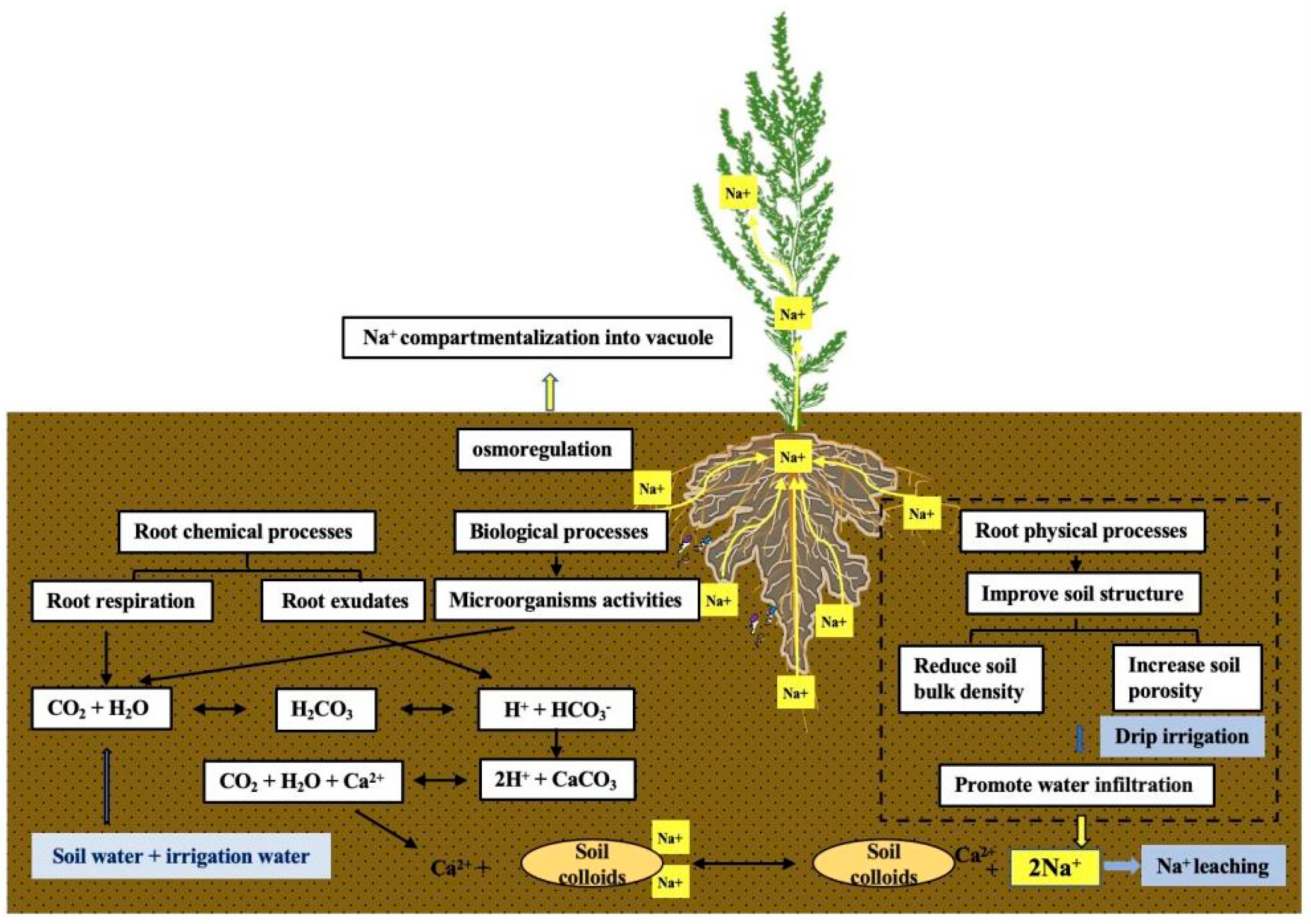 Agriculture 13 00704 g002 Agriculture 13 00704 g002