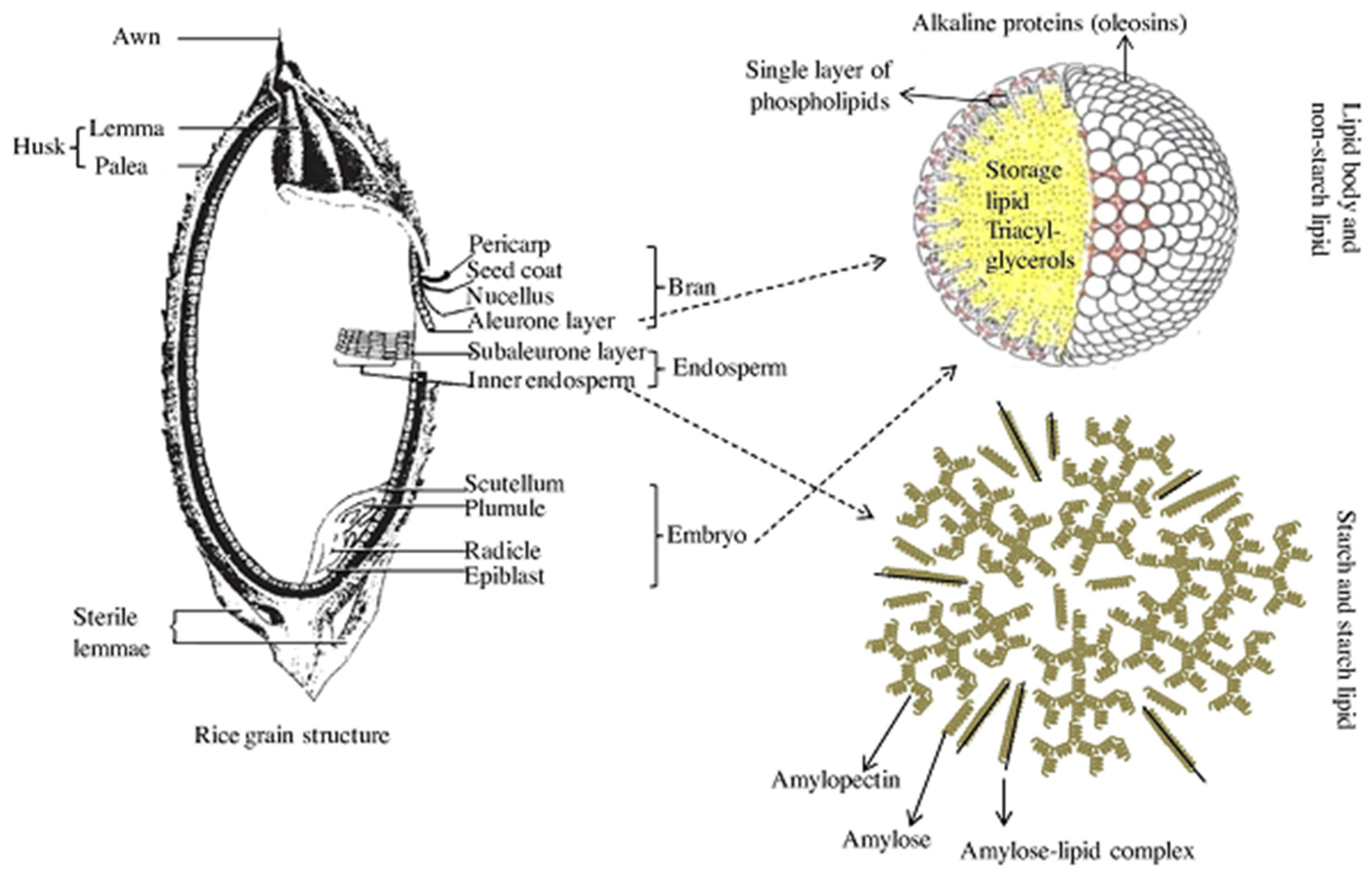 Agriculture 13 00705 g004 Agriculture 13 00705 g004