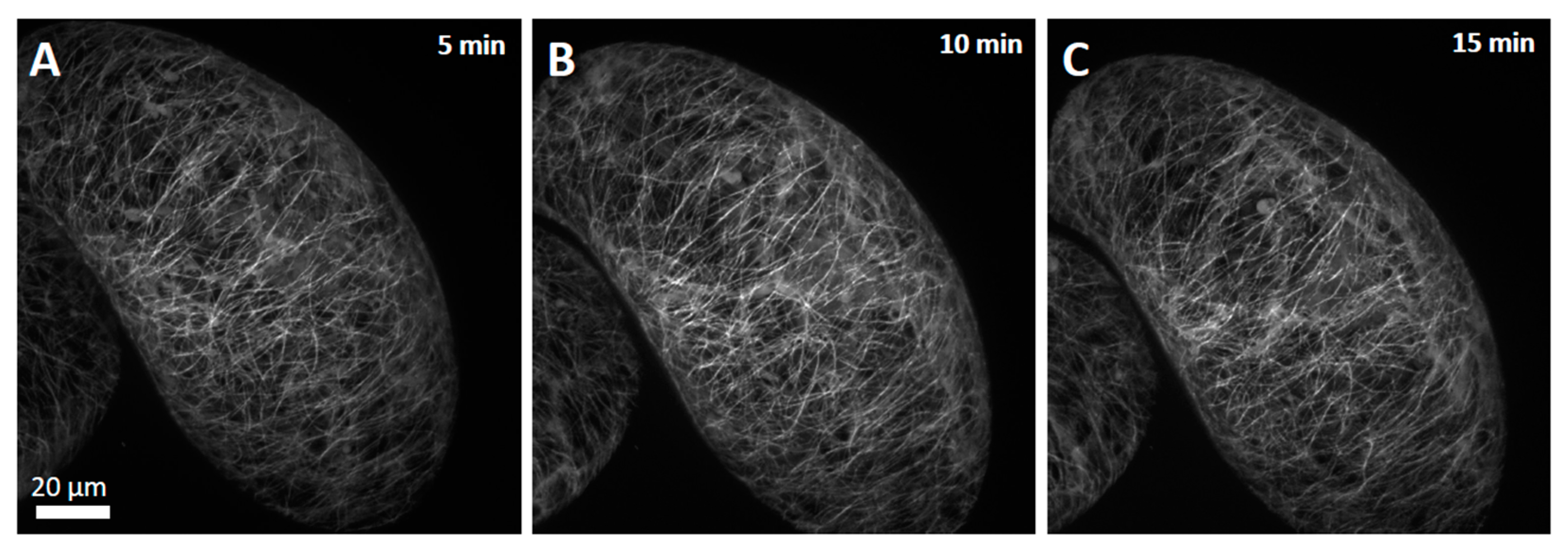 Agriculture 13 00712 g007