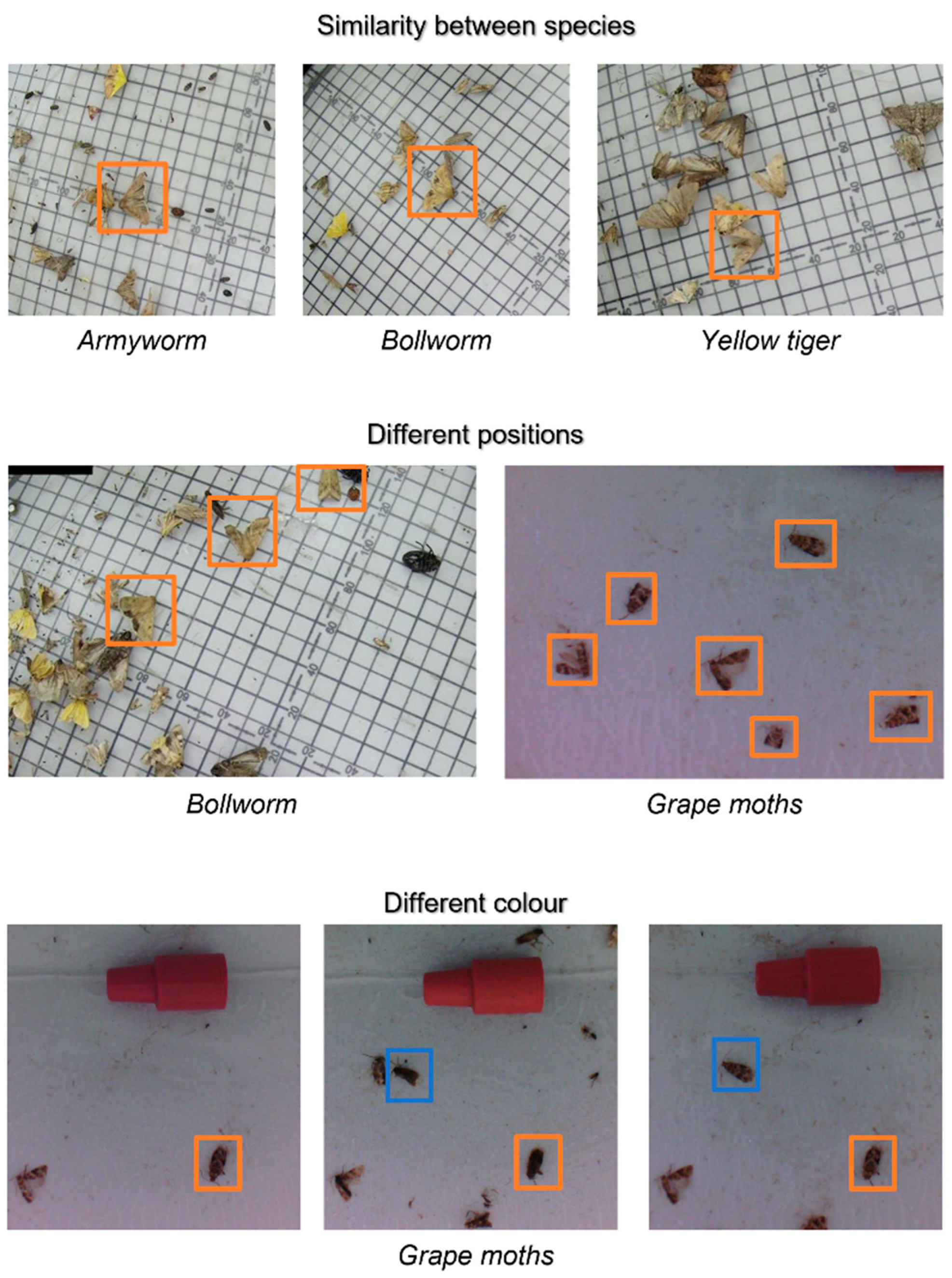Agriculture 13 00713 g005 Agriculture 13 00713 g005