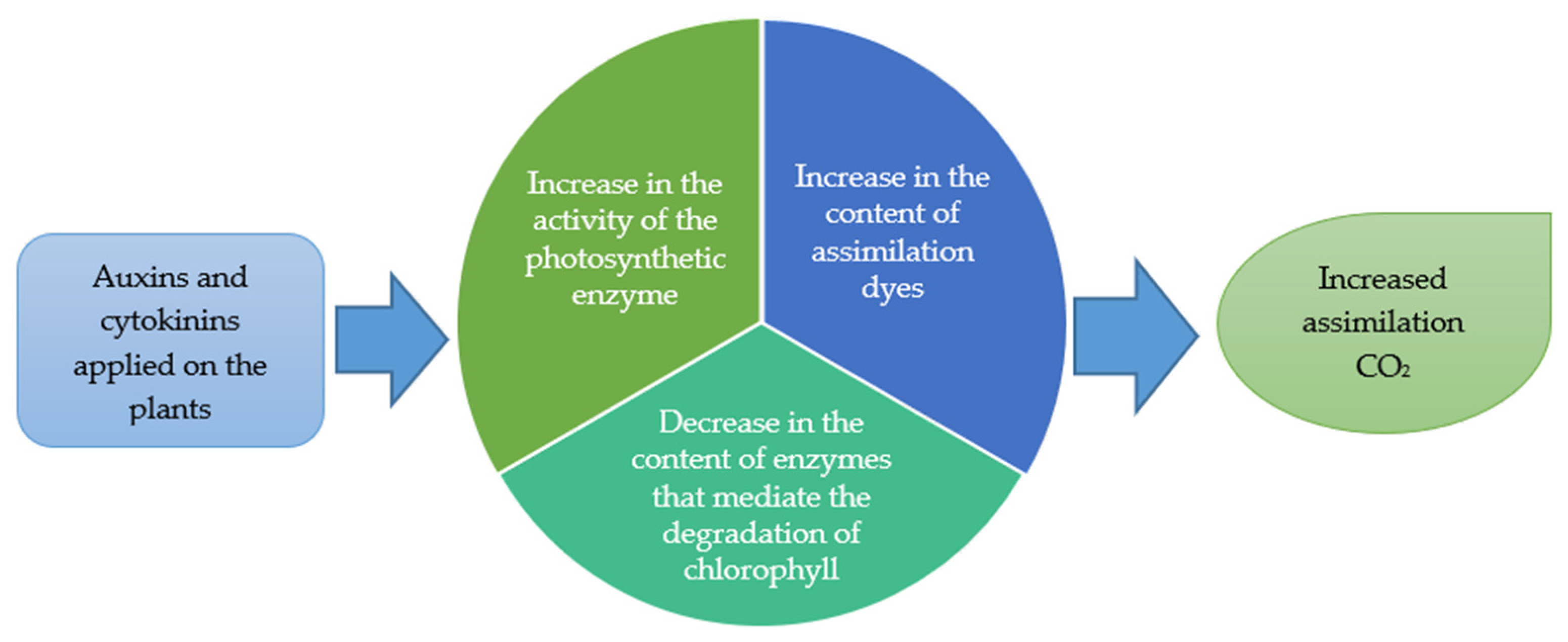 Agriculture 13 00724 g002