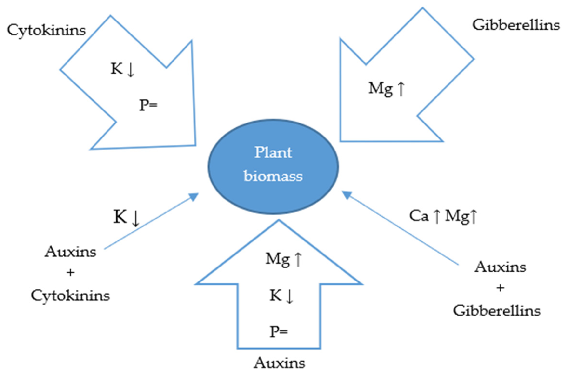 Agriculture 13 00724 g003