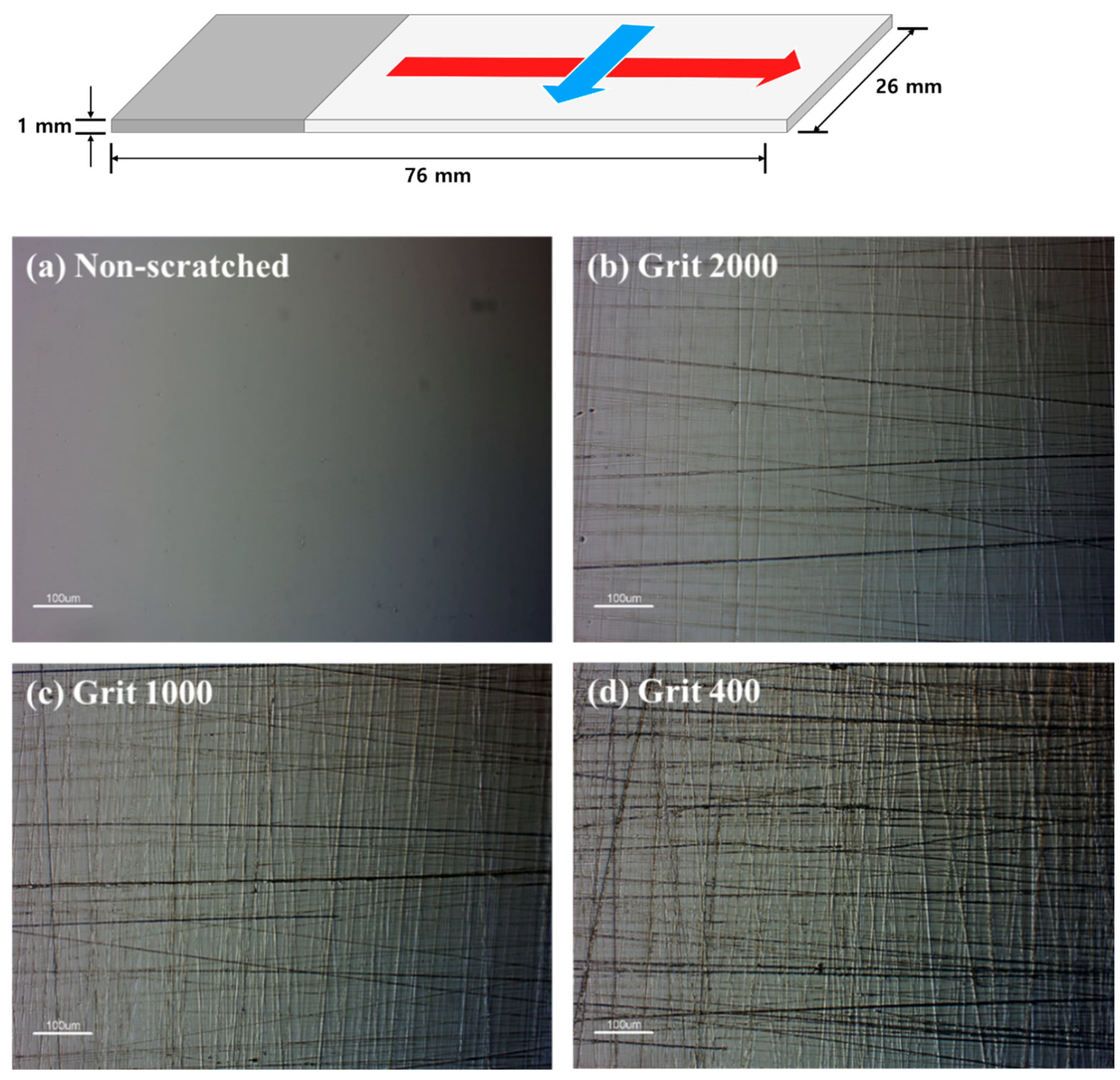 Agriculture 13 00727 g002 Agriculture 13 00727 g002