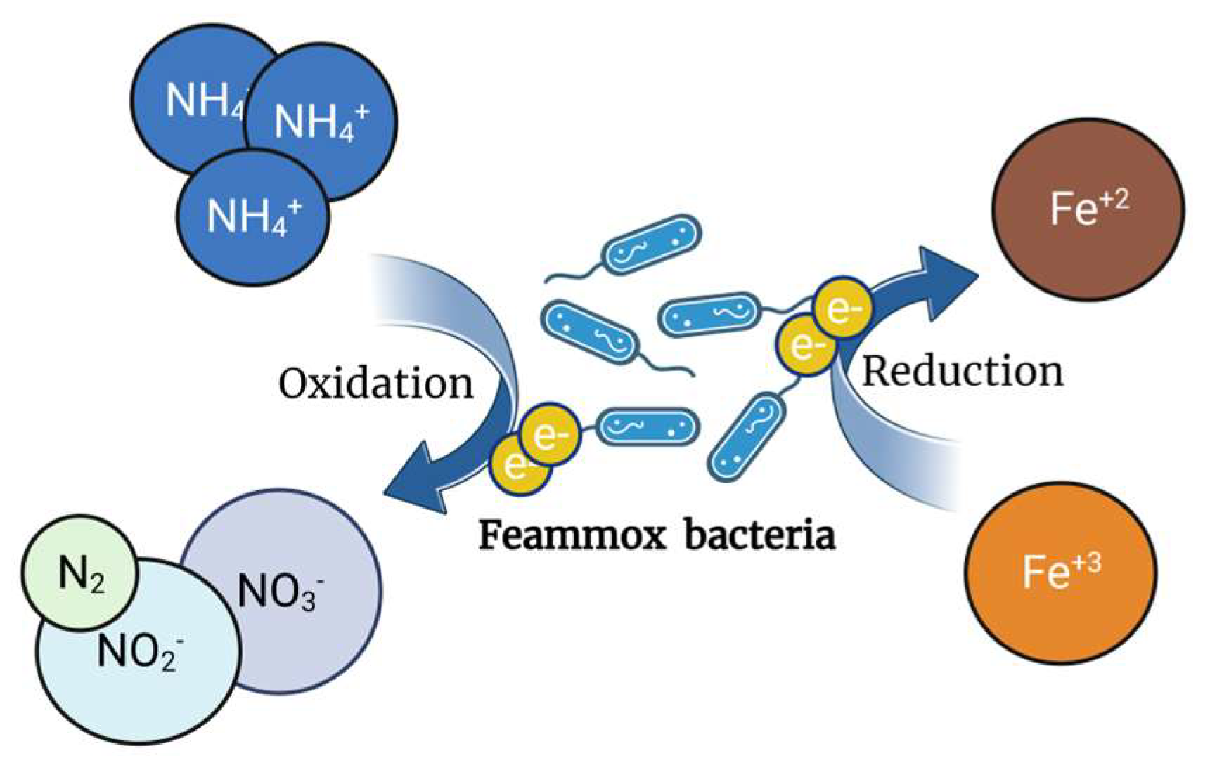 Agriculture 13 00728 g001