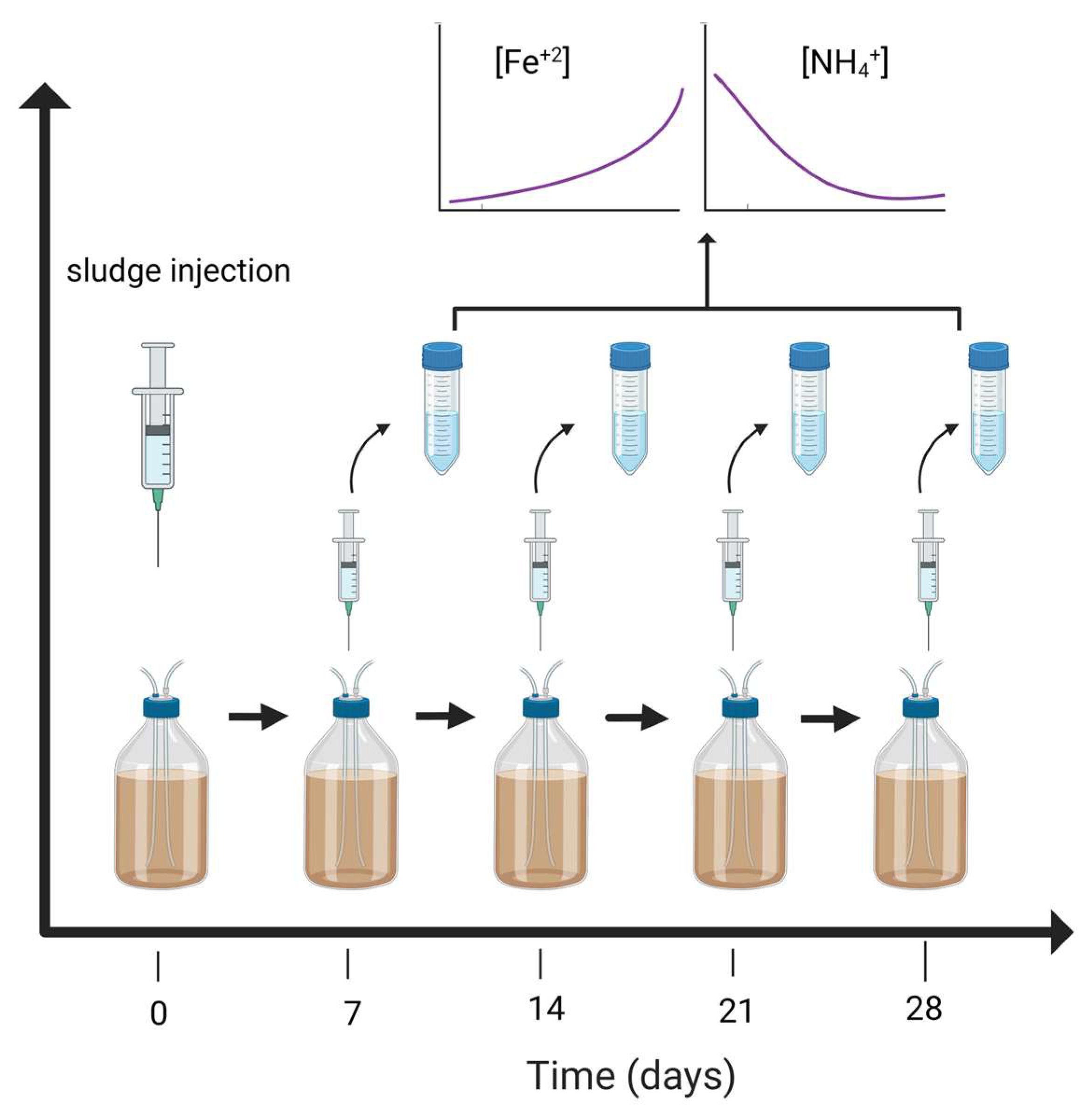 Agriculture 13 00728 g002
