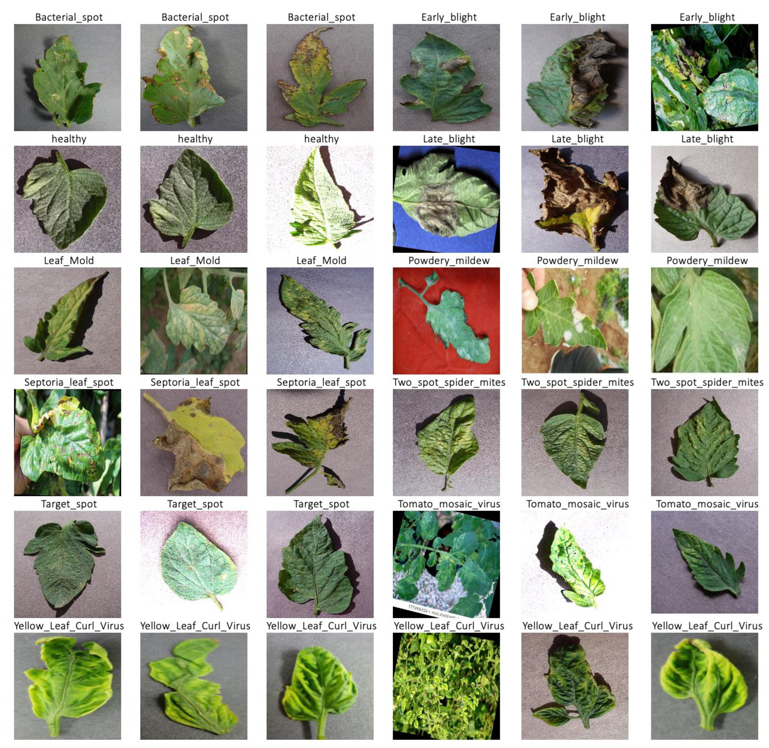 Agriculture 13 00737 g006