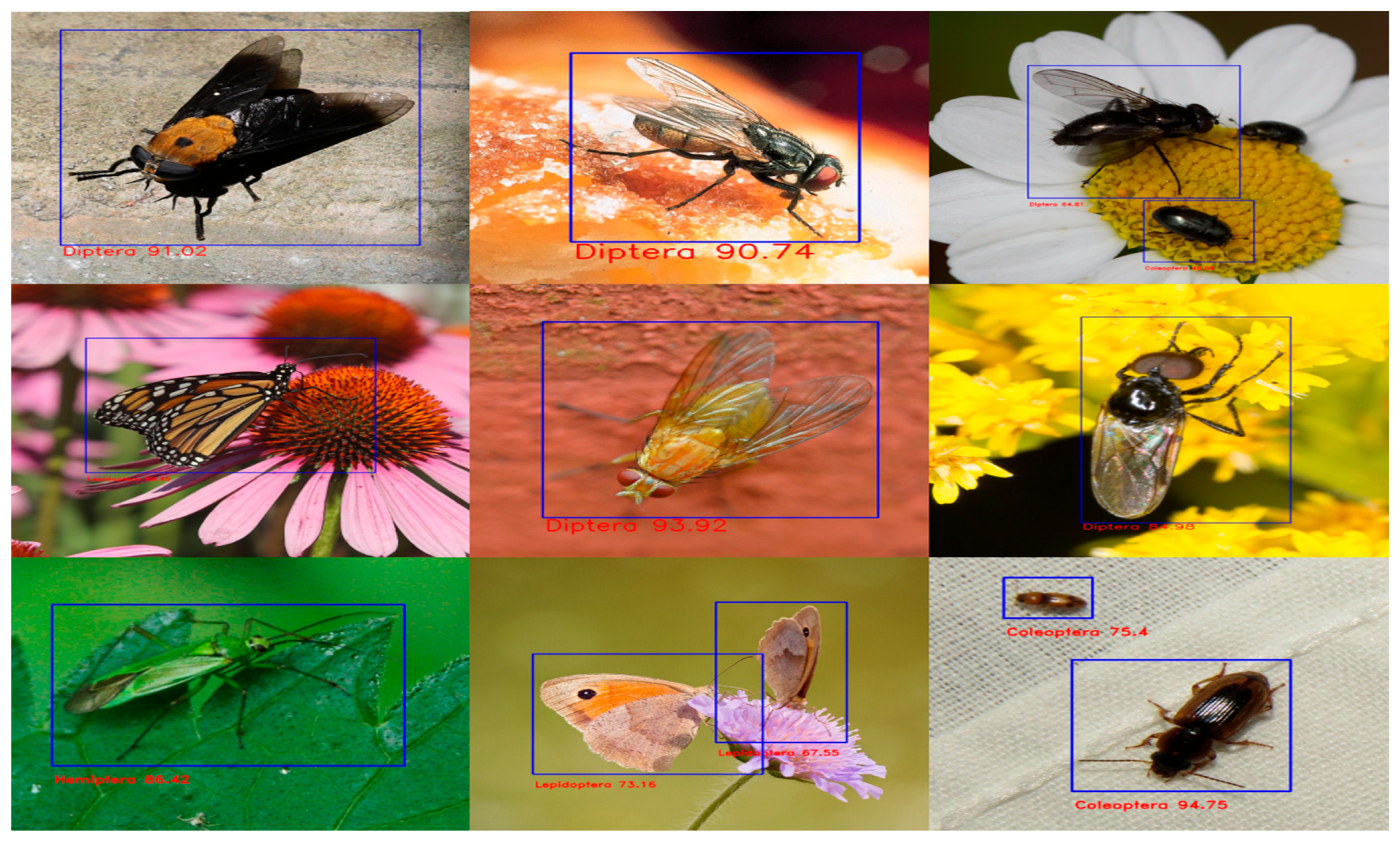 Agriculture 13 00741 g007 Agriculture 13 00741 g007