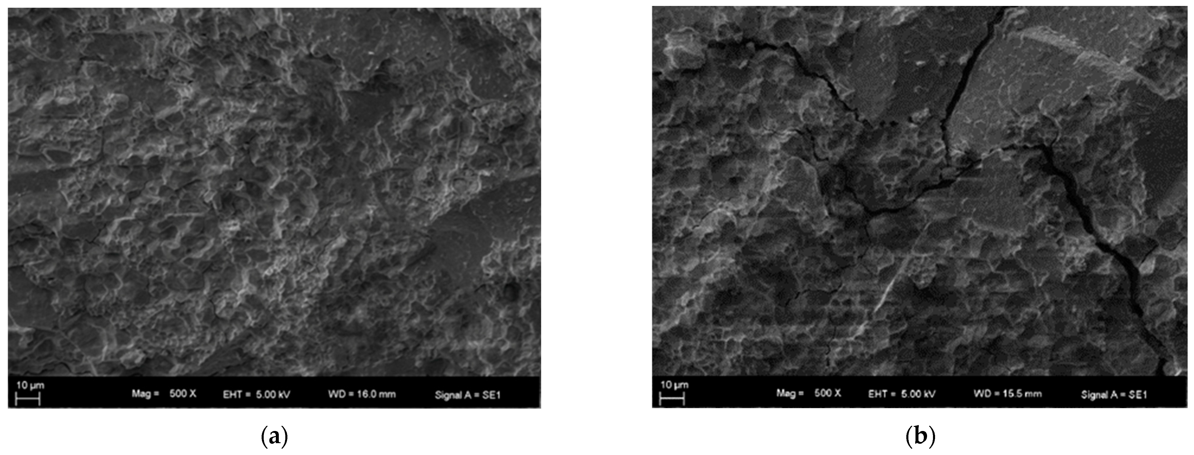 Agriculture 13 00751 g003 Agriculture 13 00751 g003