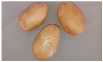 Agriculture 13 00758 i001 Agriculture 13 00758 i001