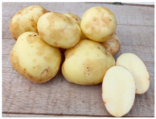 Agriculture 13 00758 i002 Agriculture 13 00758 i002