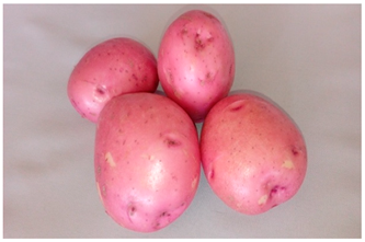 Agriculture 13 00758 i003 Agriculture 13 00758 i003