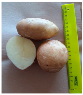 Agriculture 13 00758 i004 Agriculture 13 00758 i004