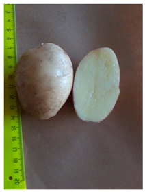 Agriculture 13 00758 i005 Agriculture 13 00758 i005