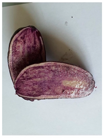 Agriculture 13 00758 i006 Agriculture 13 00758 i006