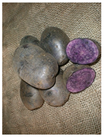 Agriculture 13 00758 i007 Agriculture 13 00758 i007