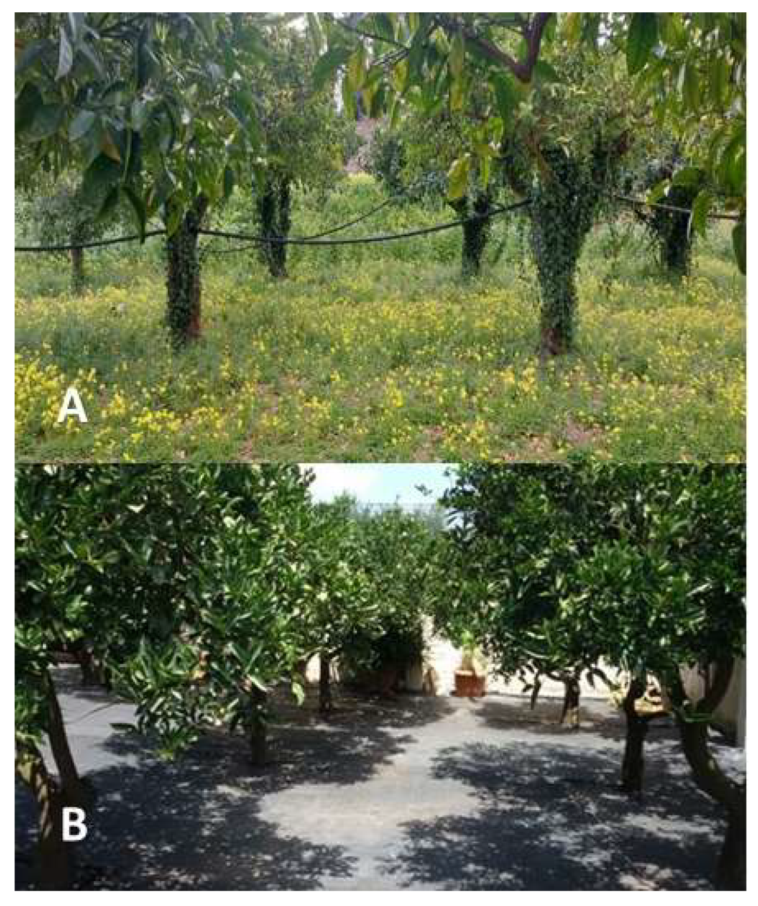 Agriculture 13 00764 g001 Agriculture 13 00764 g001