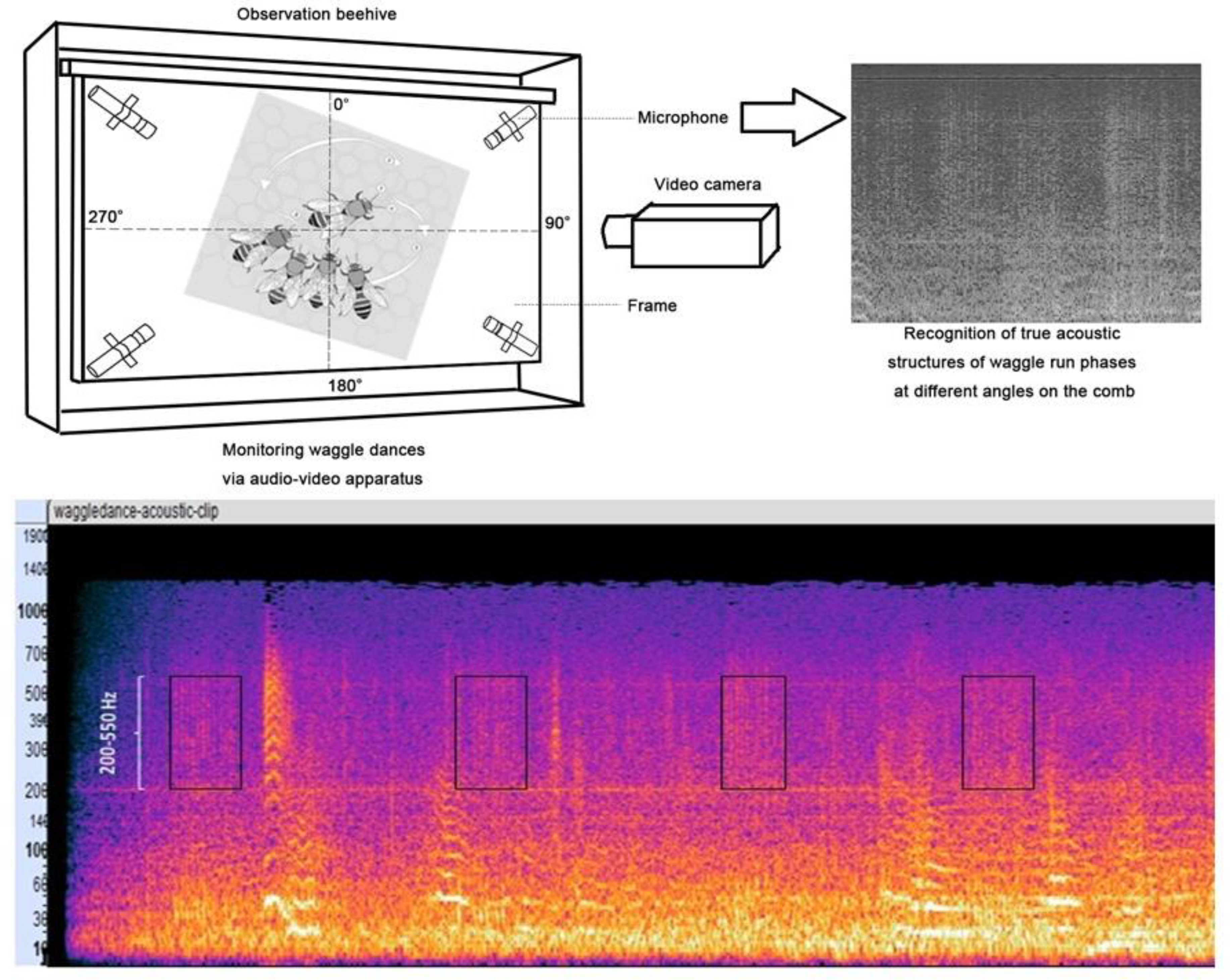 Agriculture 13 00769 g006