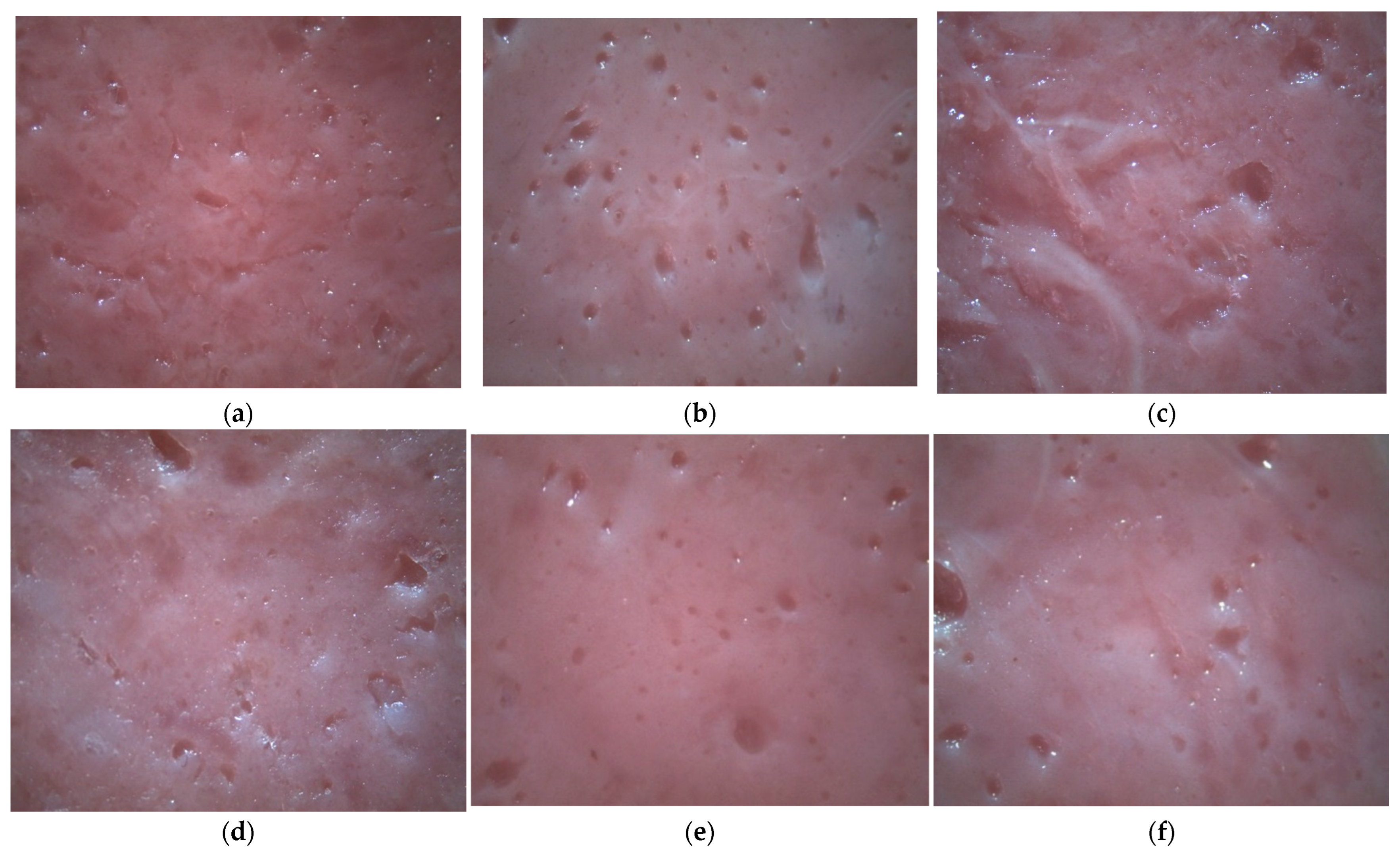 Agriculture 13 00772 g002 Agriculture 13 00772 g002