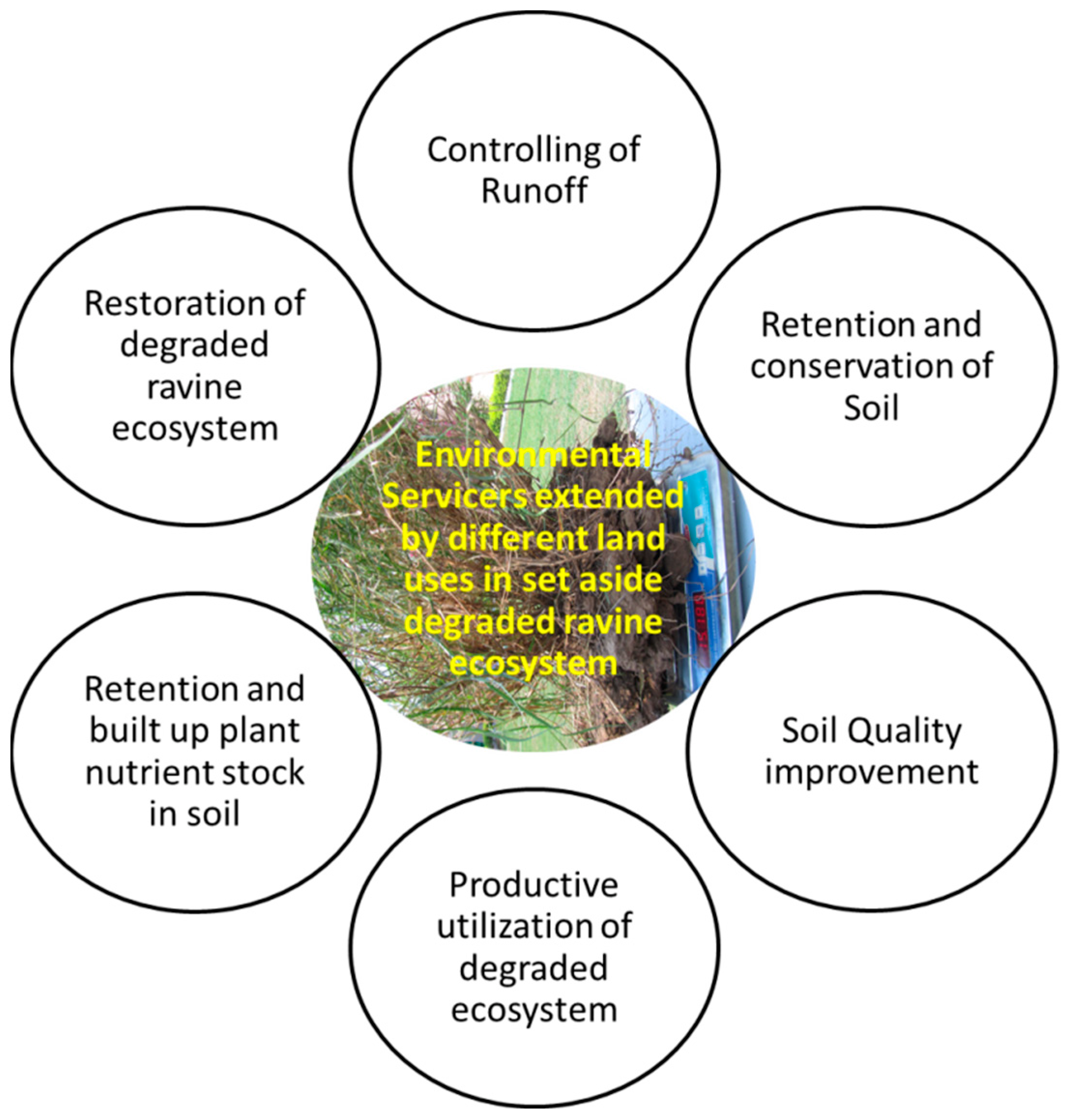 Agriculture 13 00773 g012