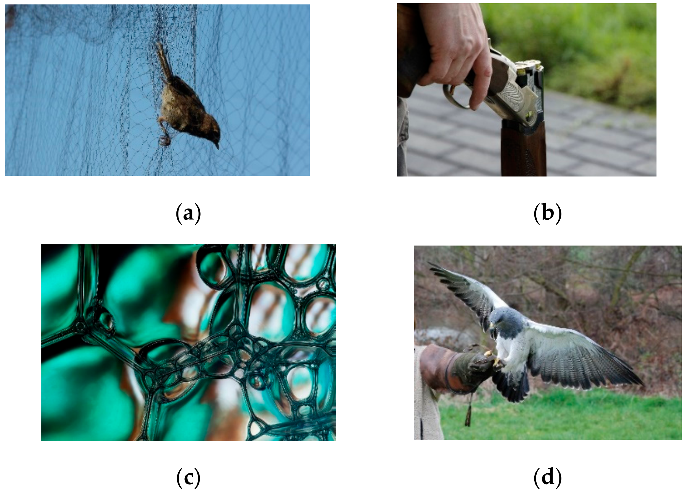 Agriculture 13 00774 g006