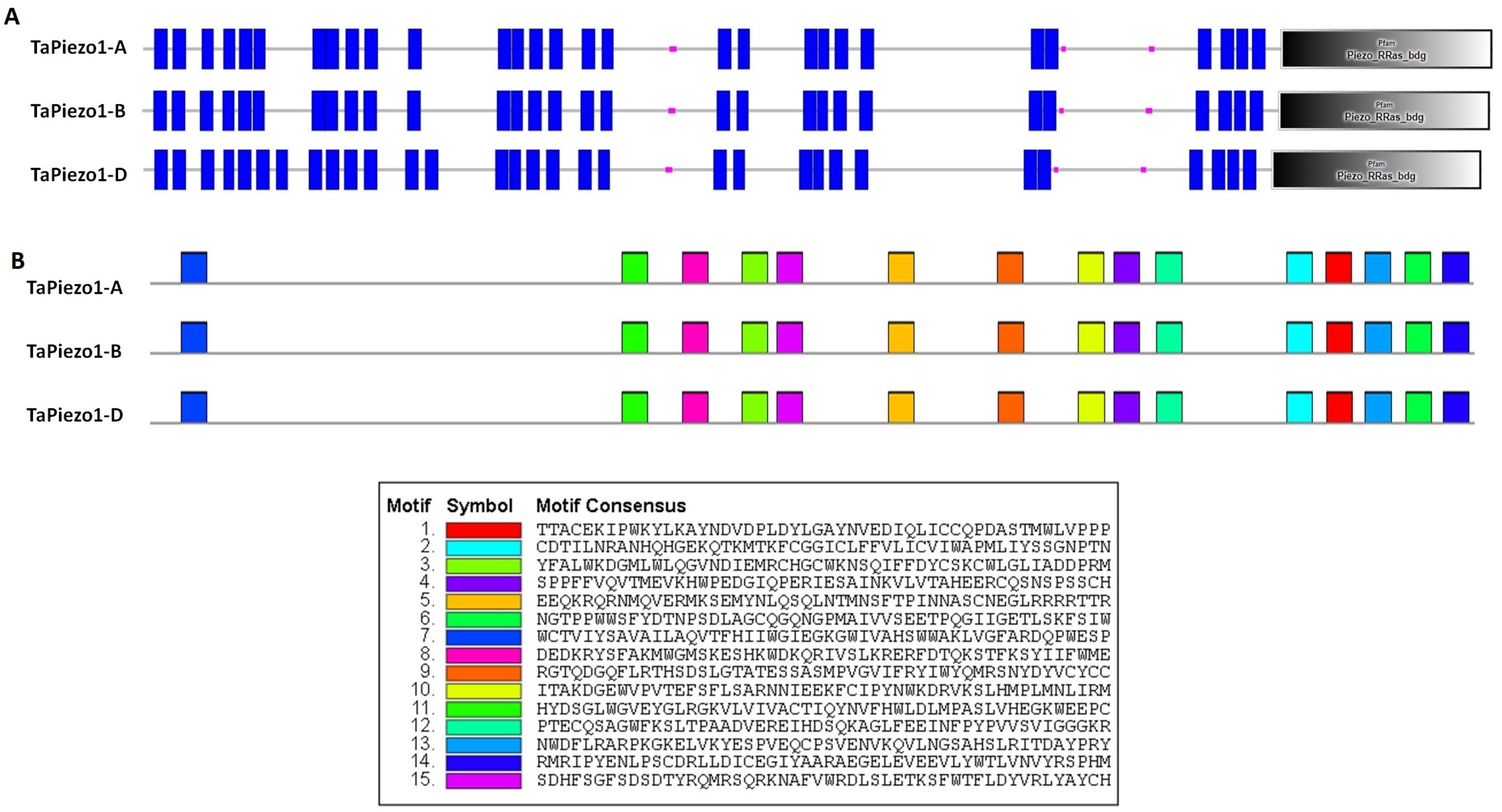 Agriculture | Free Full-Text | Exploration of Piezo Channels in 