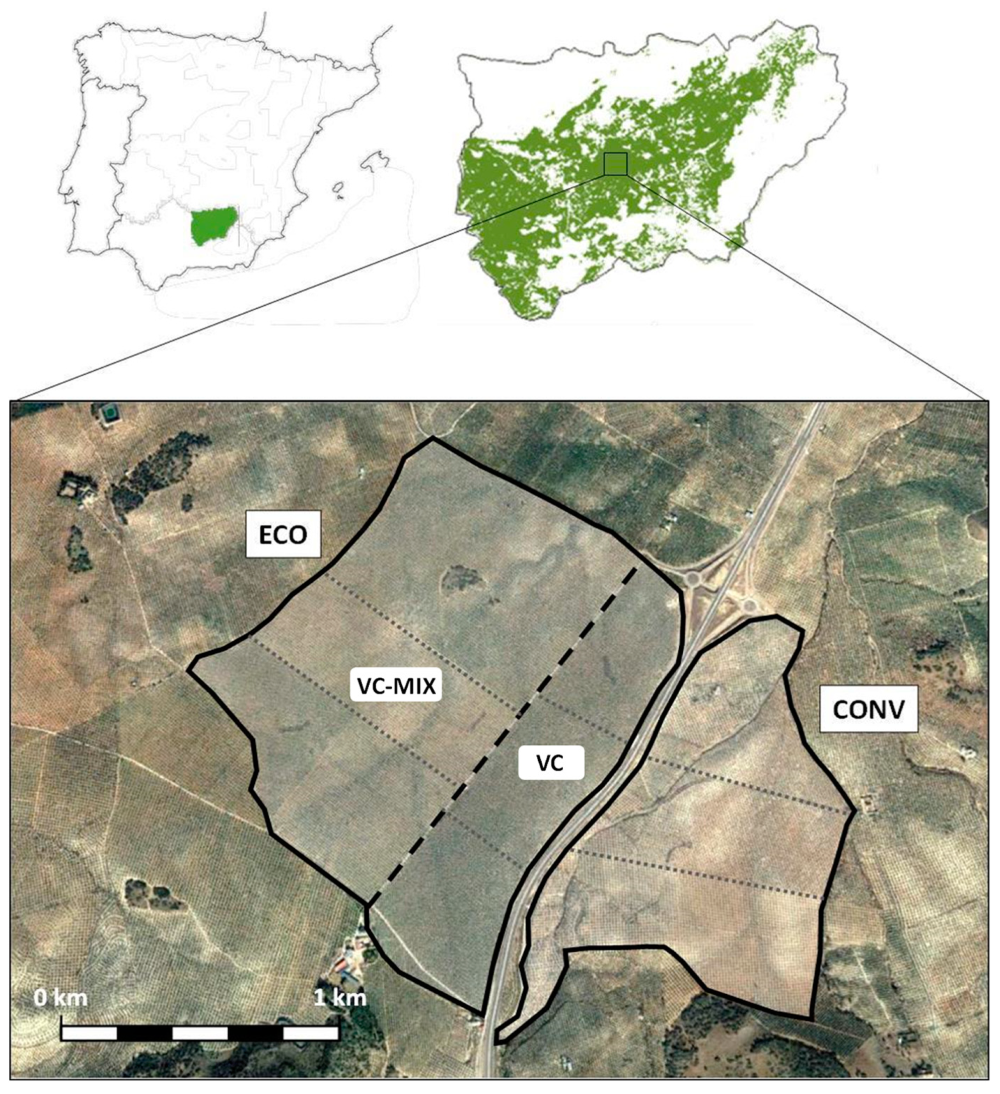 Agriculture 13 00785 g001 Agriculture 13 00785 g001