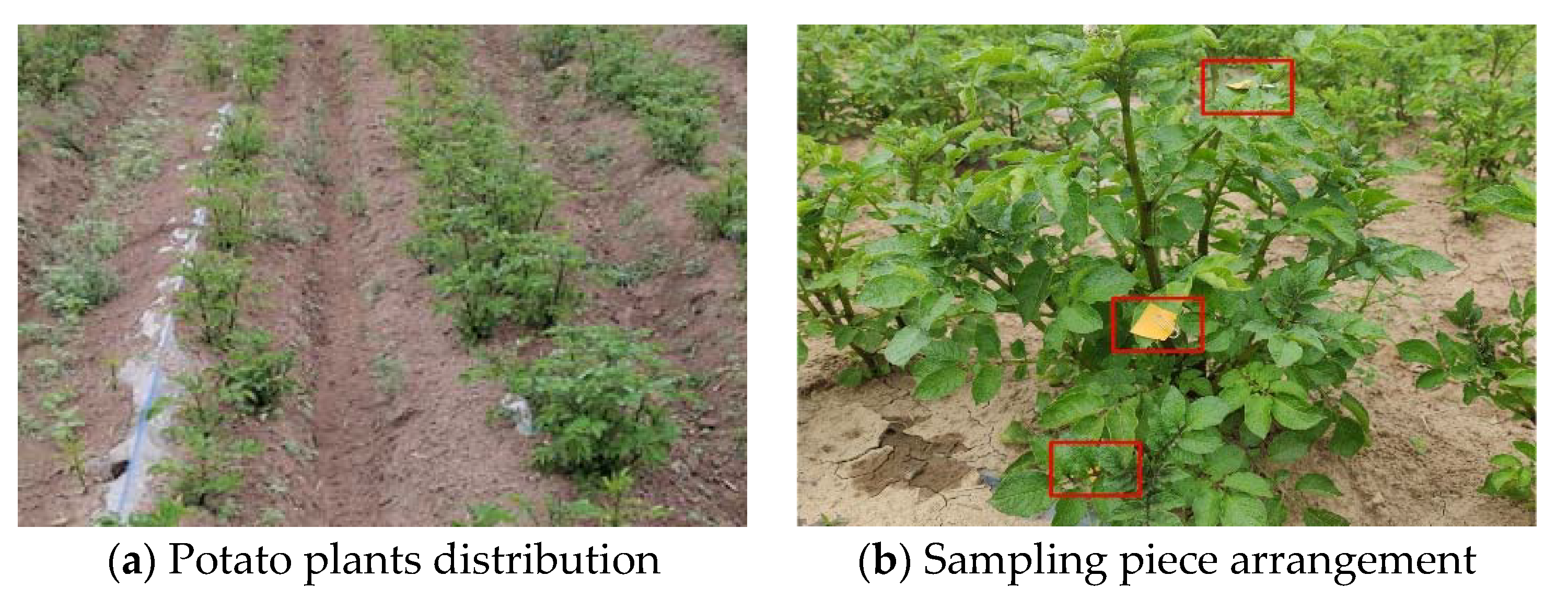 Agriculture 13 00797 g011 Agriculture 13 00797 g011