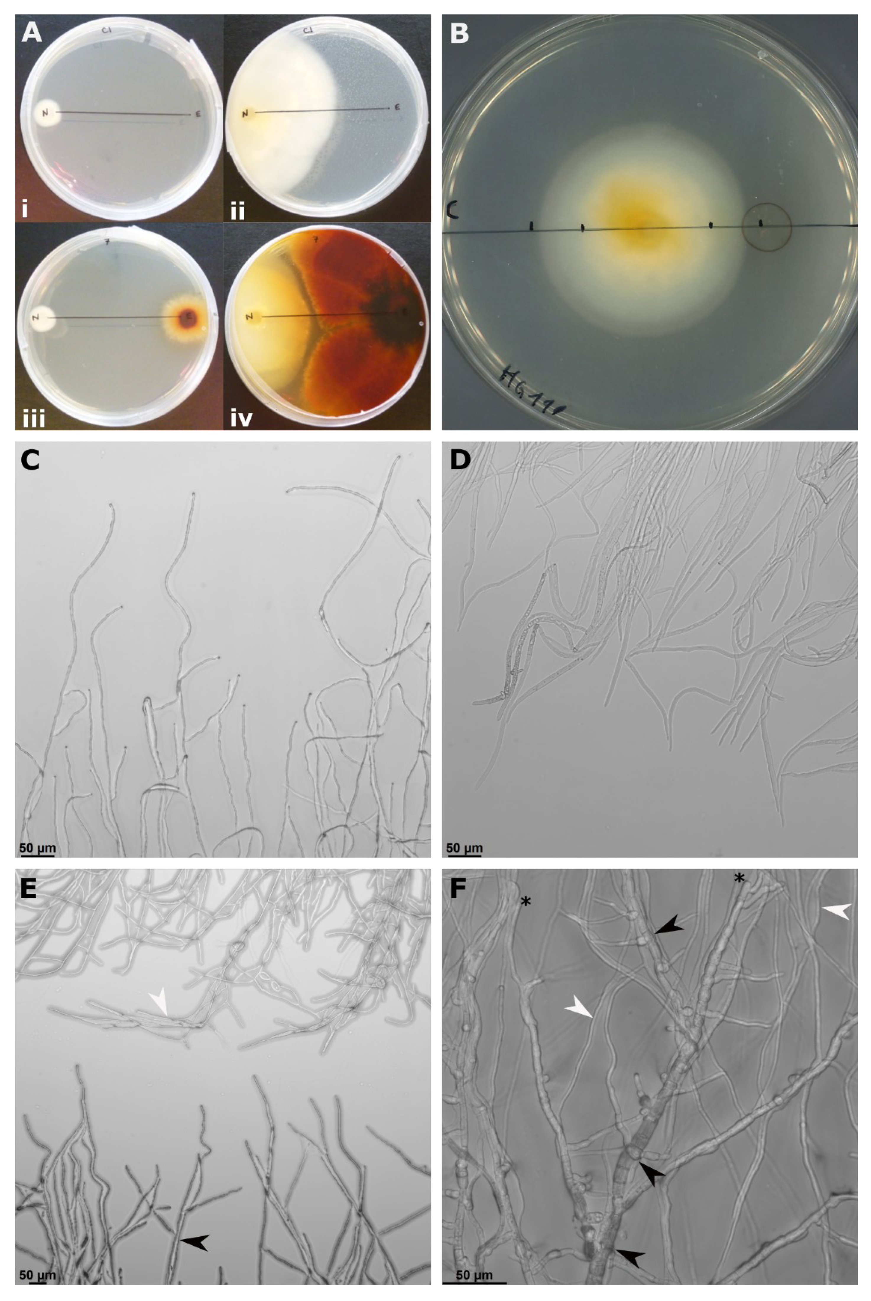 Agriculture 13 00809 g002