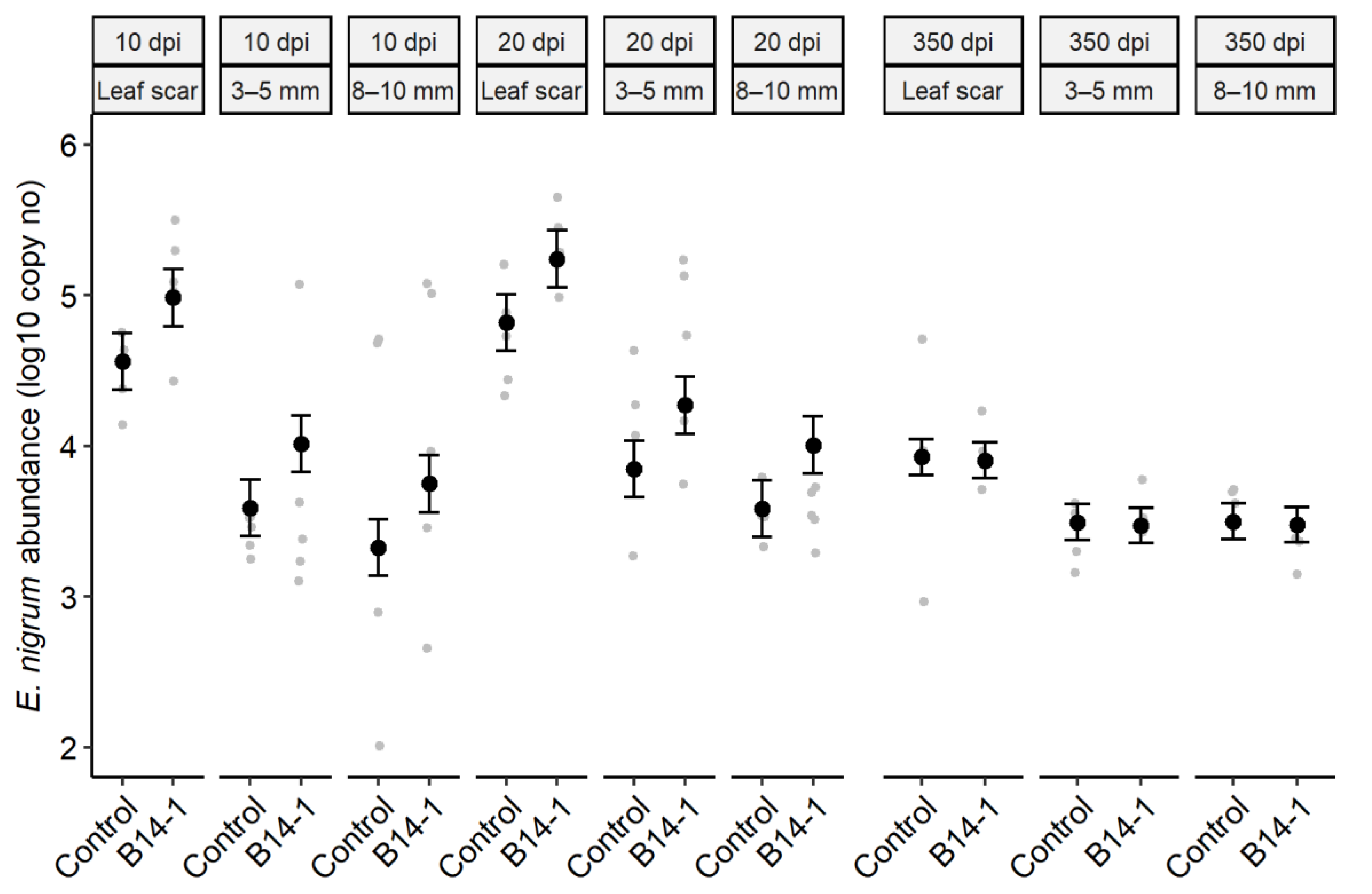 Agriculture 13 00809 g004