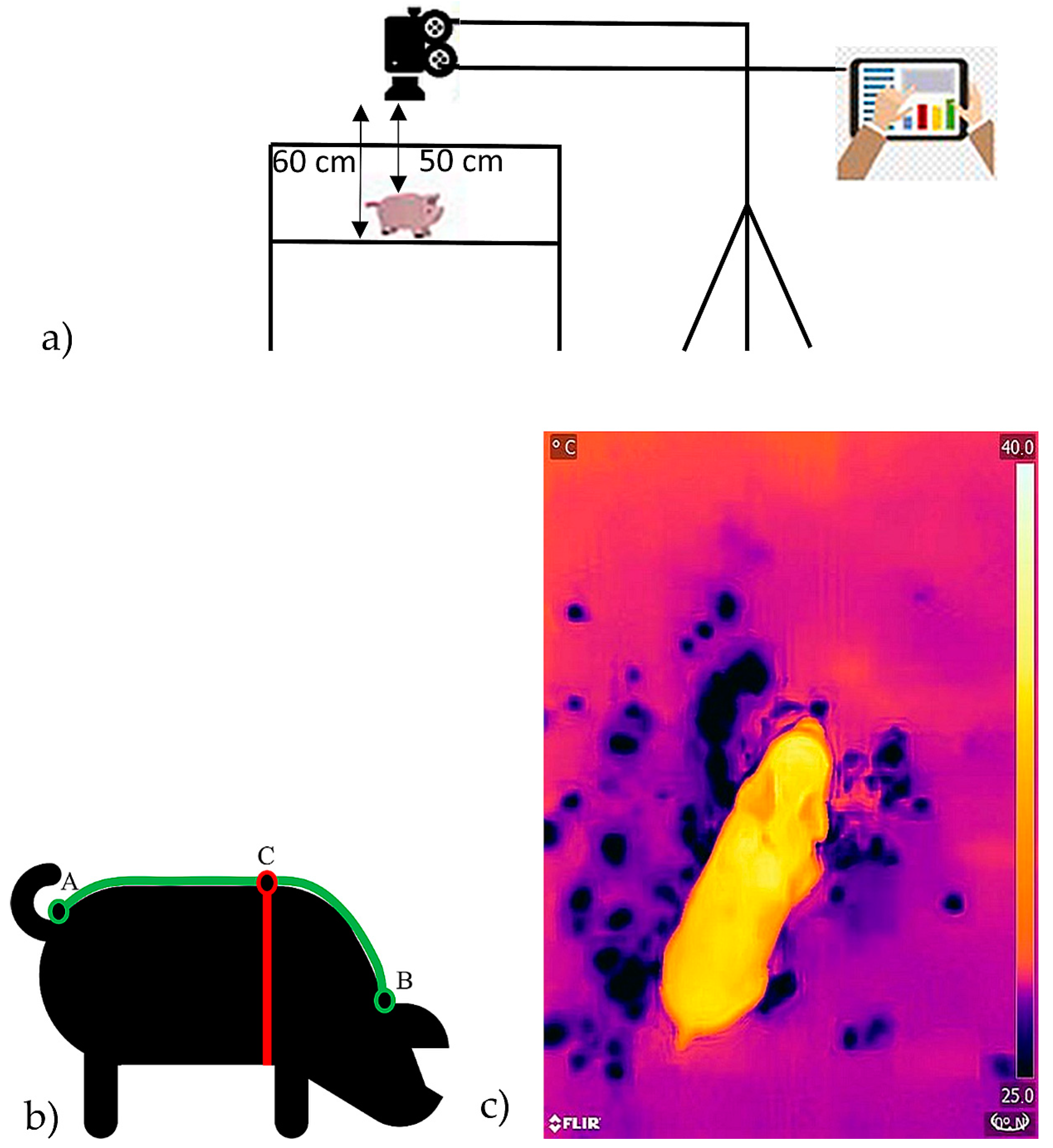 Agriculture 13 00812 g001