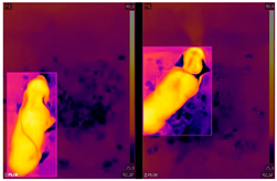 Agriculture 13 00812 i001