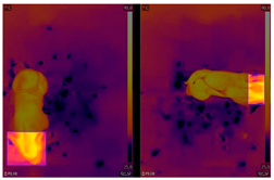 Agriculture 13 00812 i002