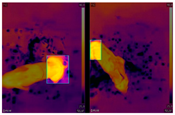 Agriculture 13 00812 i004