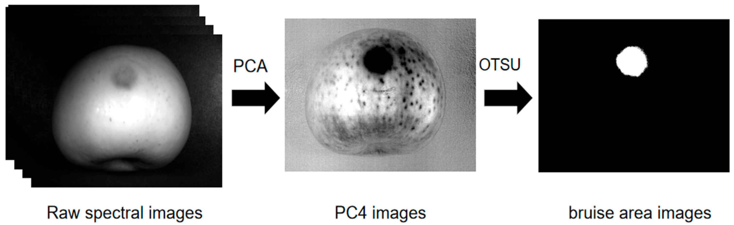 Agriculture 13 00819 g002