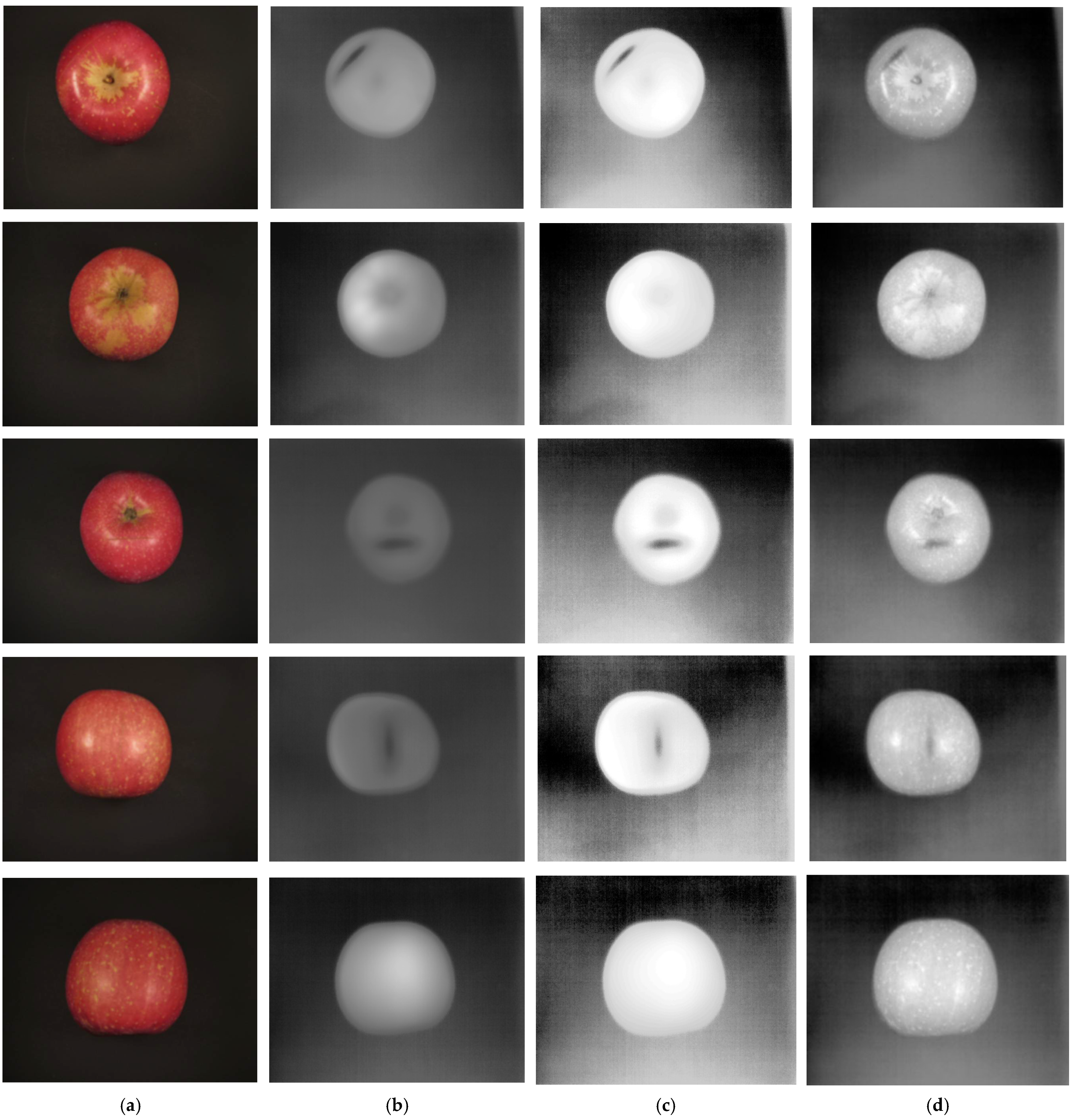 Agriculture 13 00824 g003b