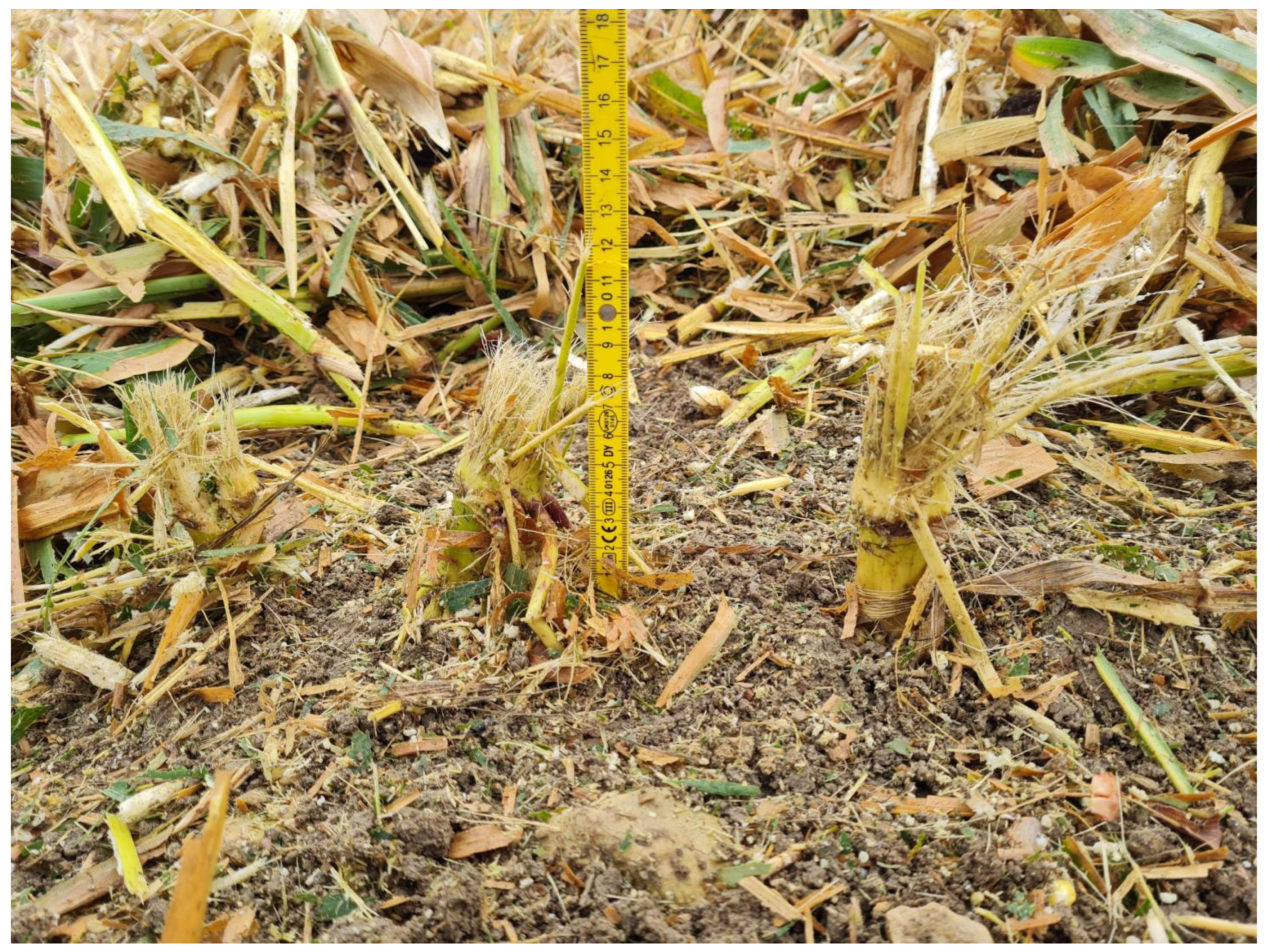 Agriculture 13 00833 g0a3