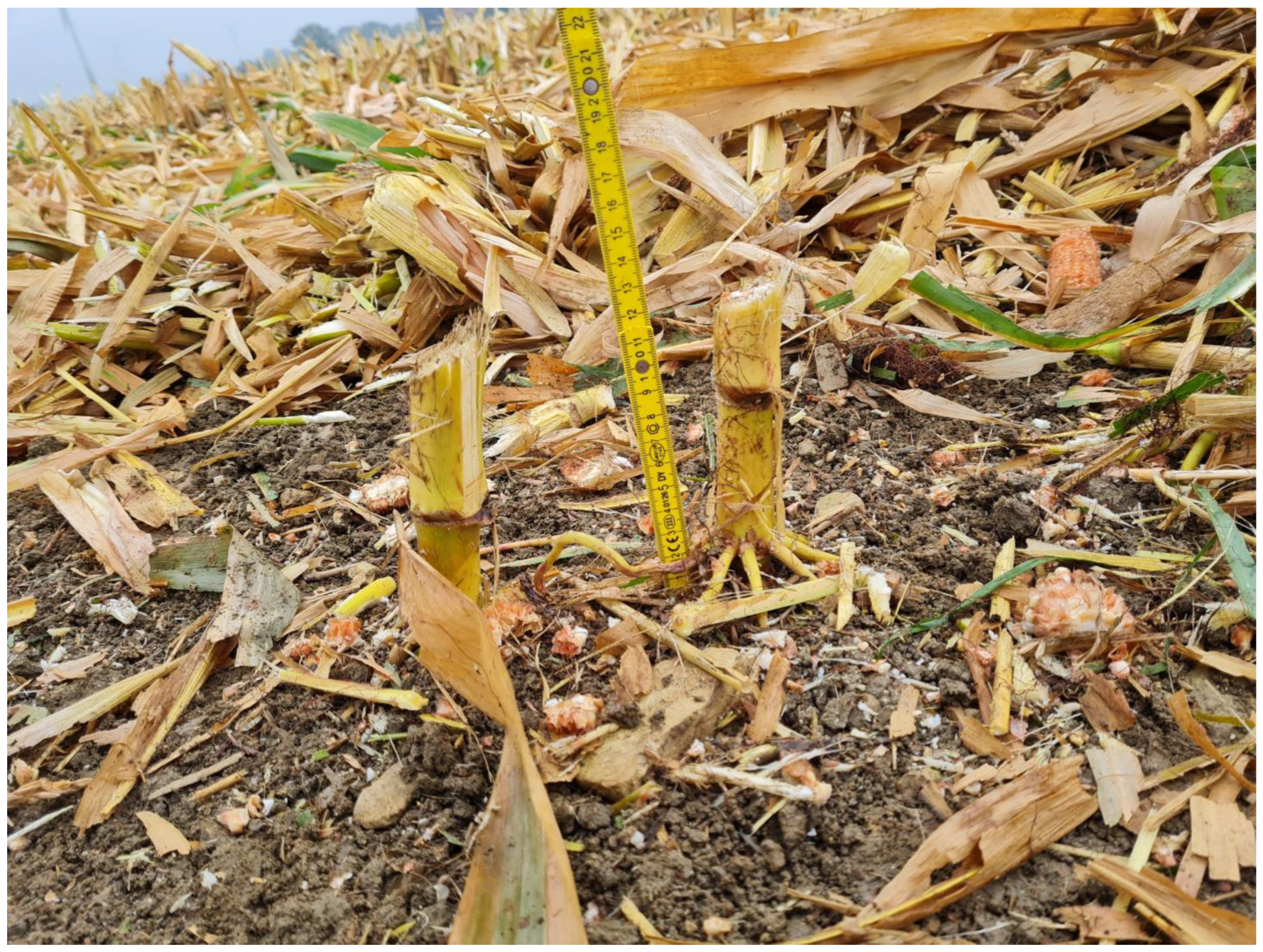 Agriculture 13 00833 g0a4