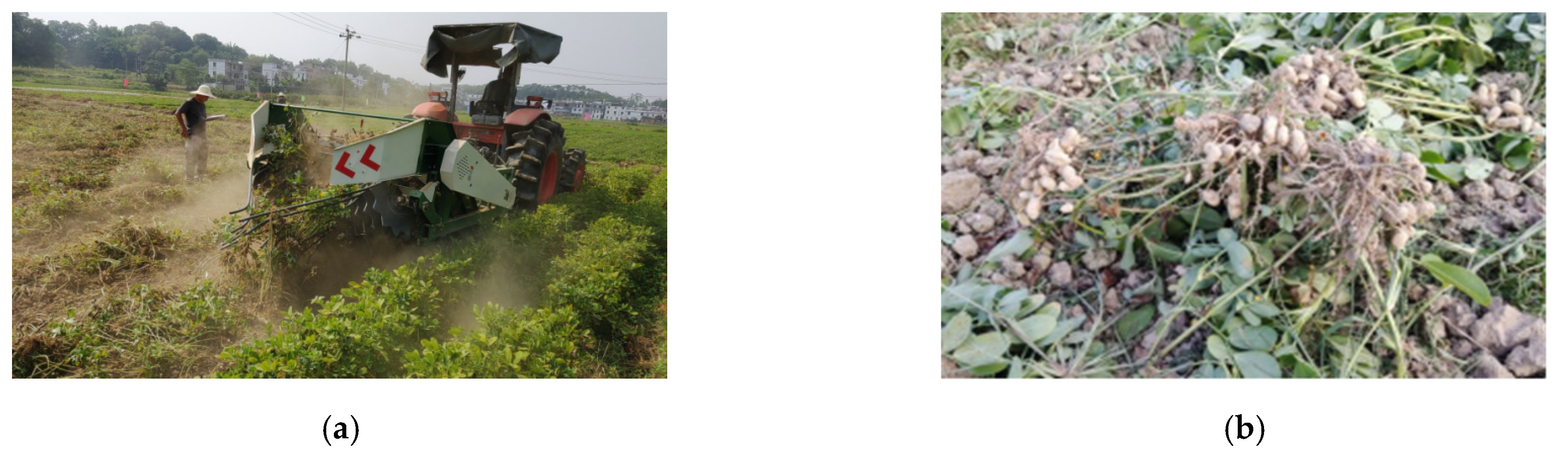 Agriculture 13 00847 g004a 550