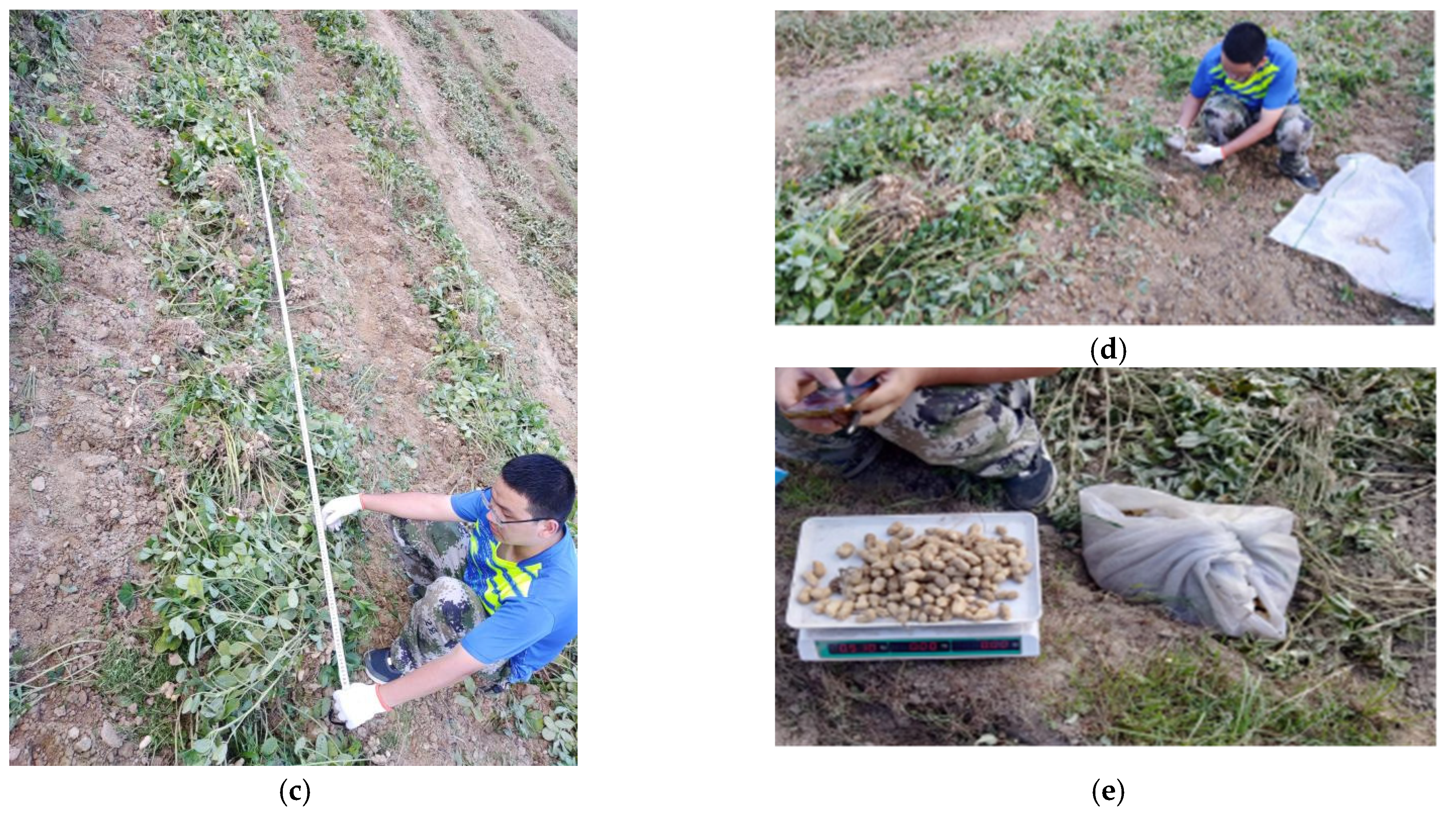 Agriculture 13 00847 g004b 550