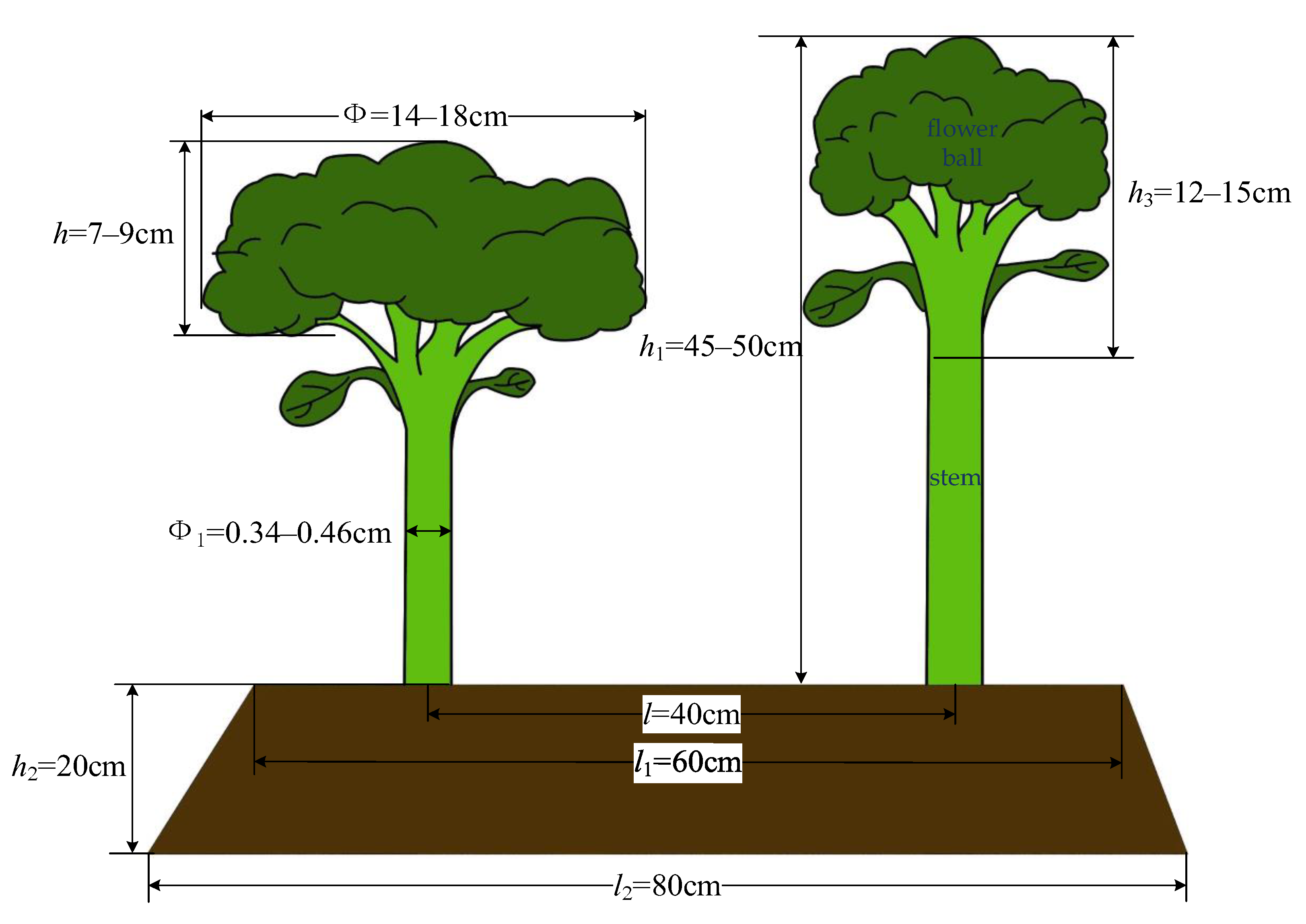 Agriculture 13 00848 g001