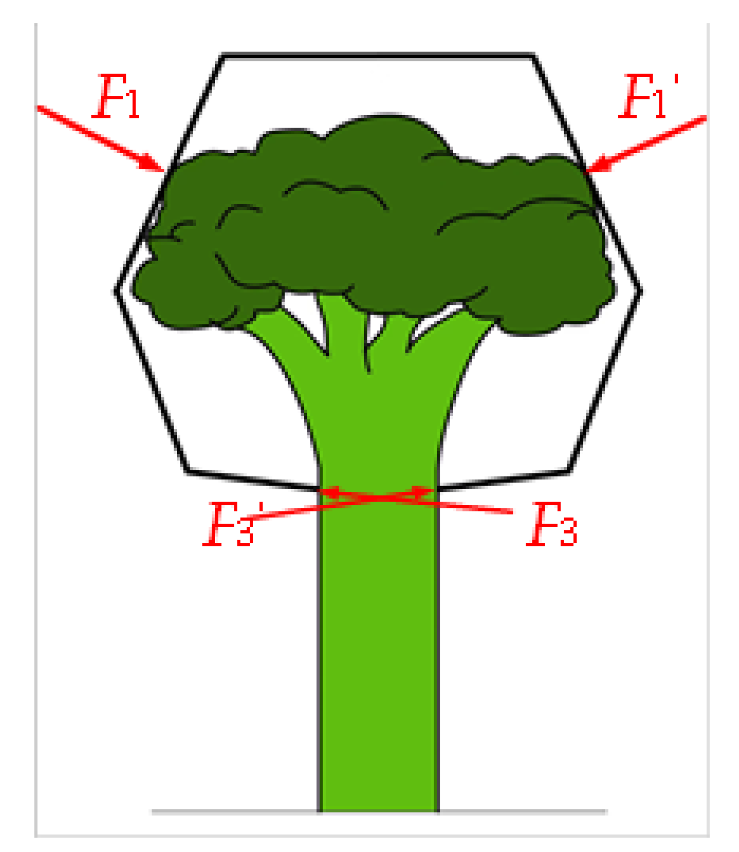 Agriculture 13 00848 g004