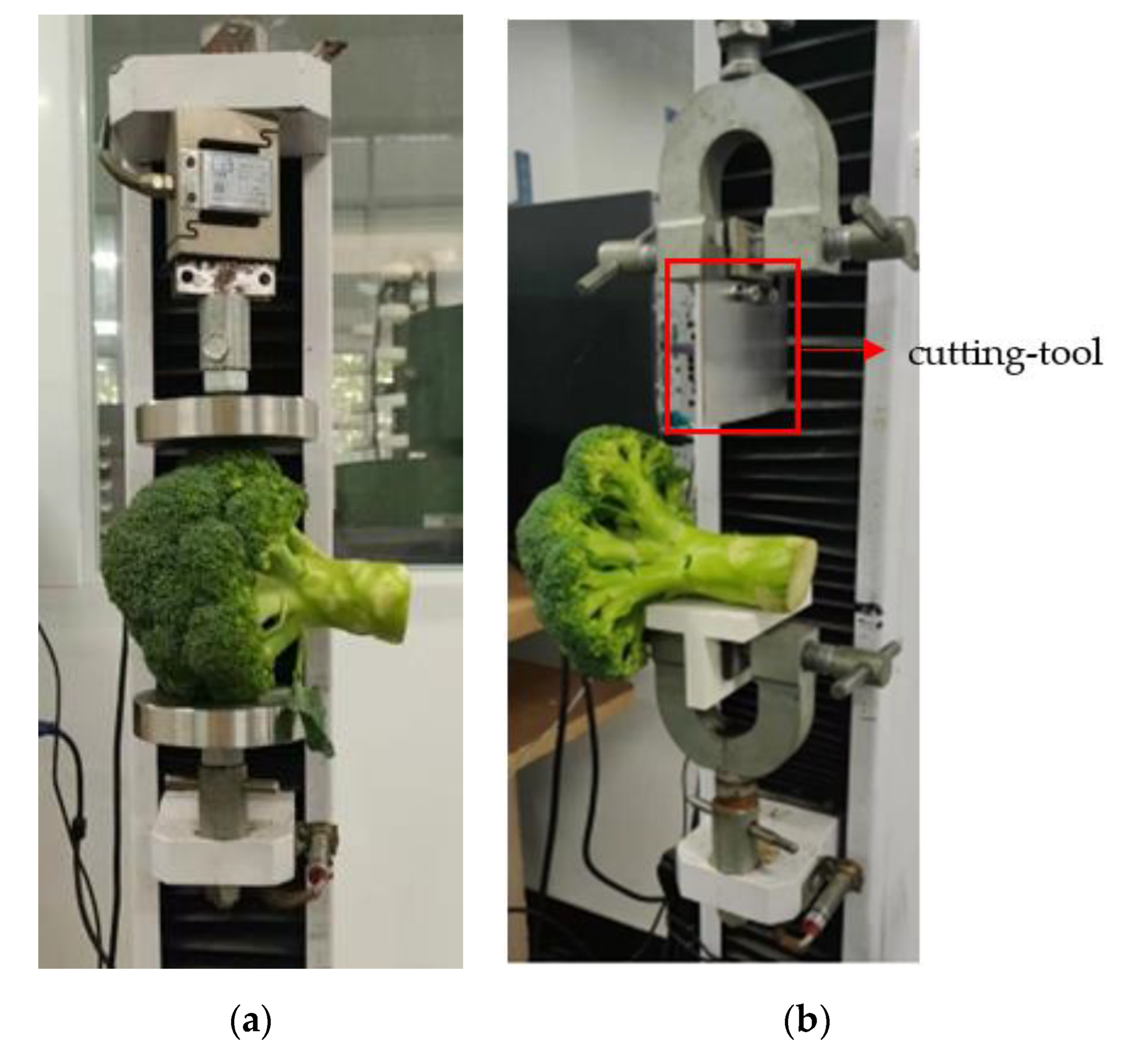 Agriculture 13 00848 g005