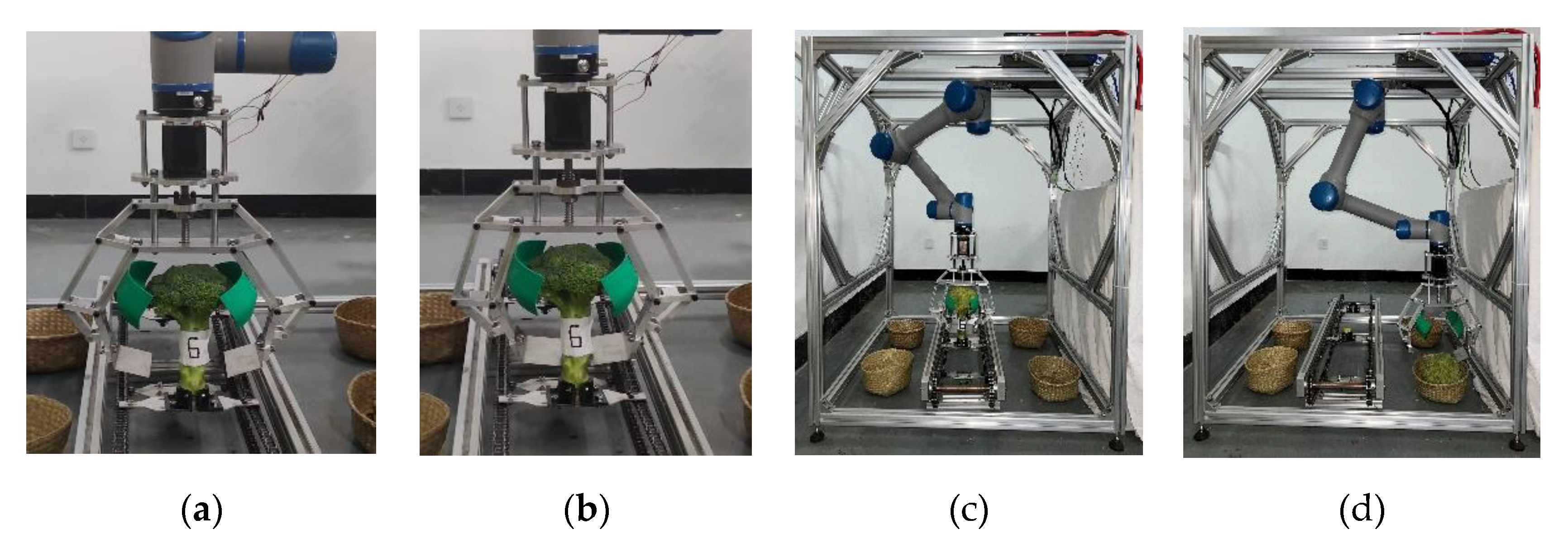 Agriculture 13 00848 g013