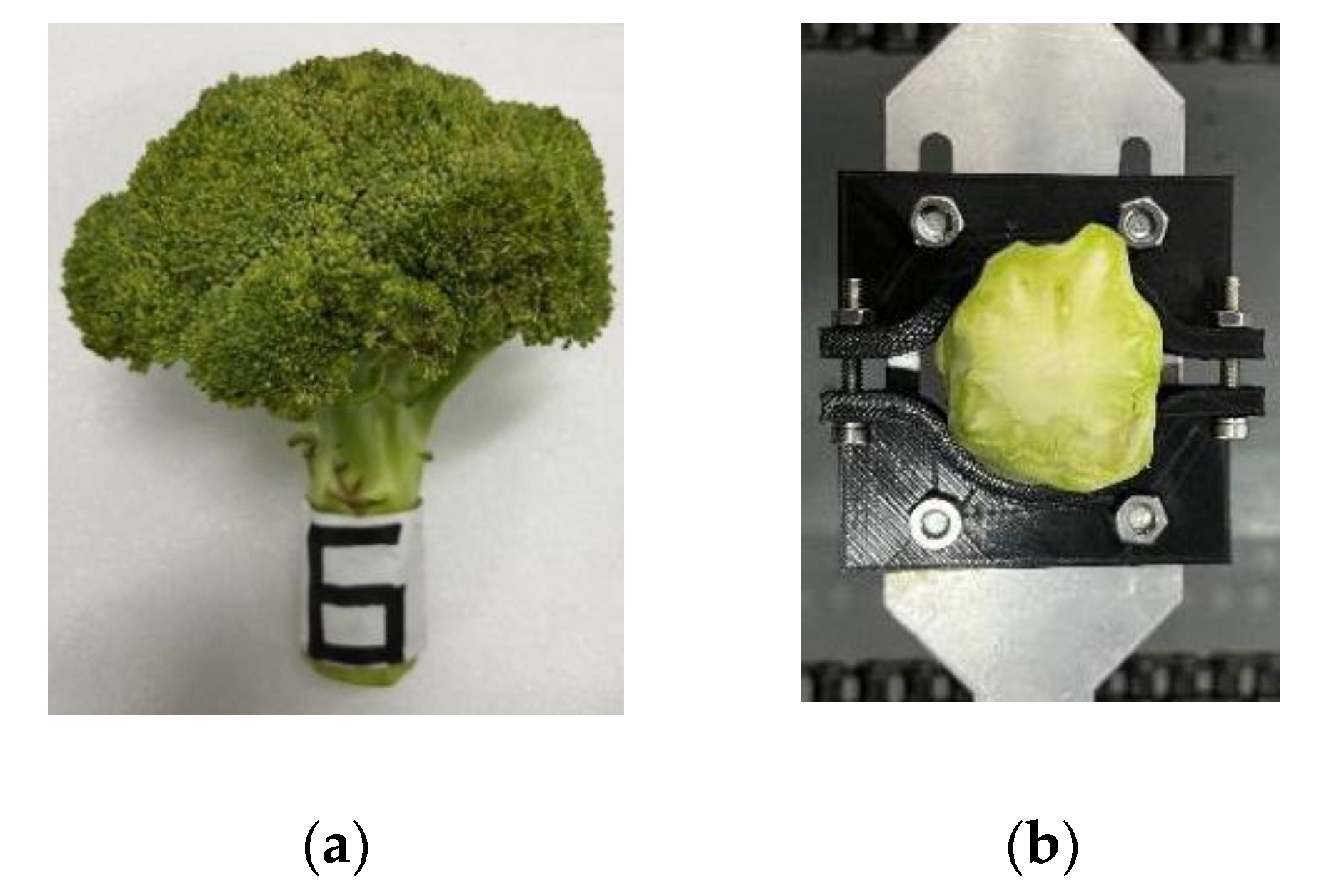 Agriculture 13 00848 g015