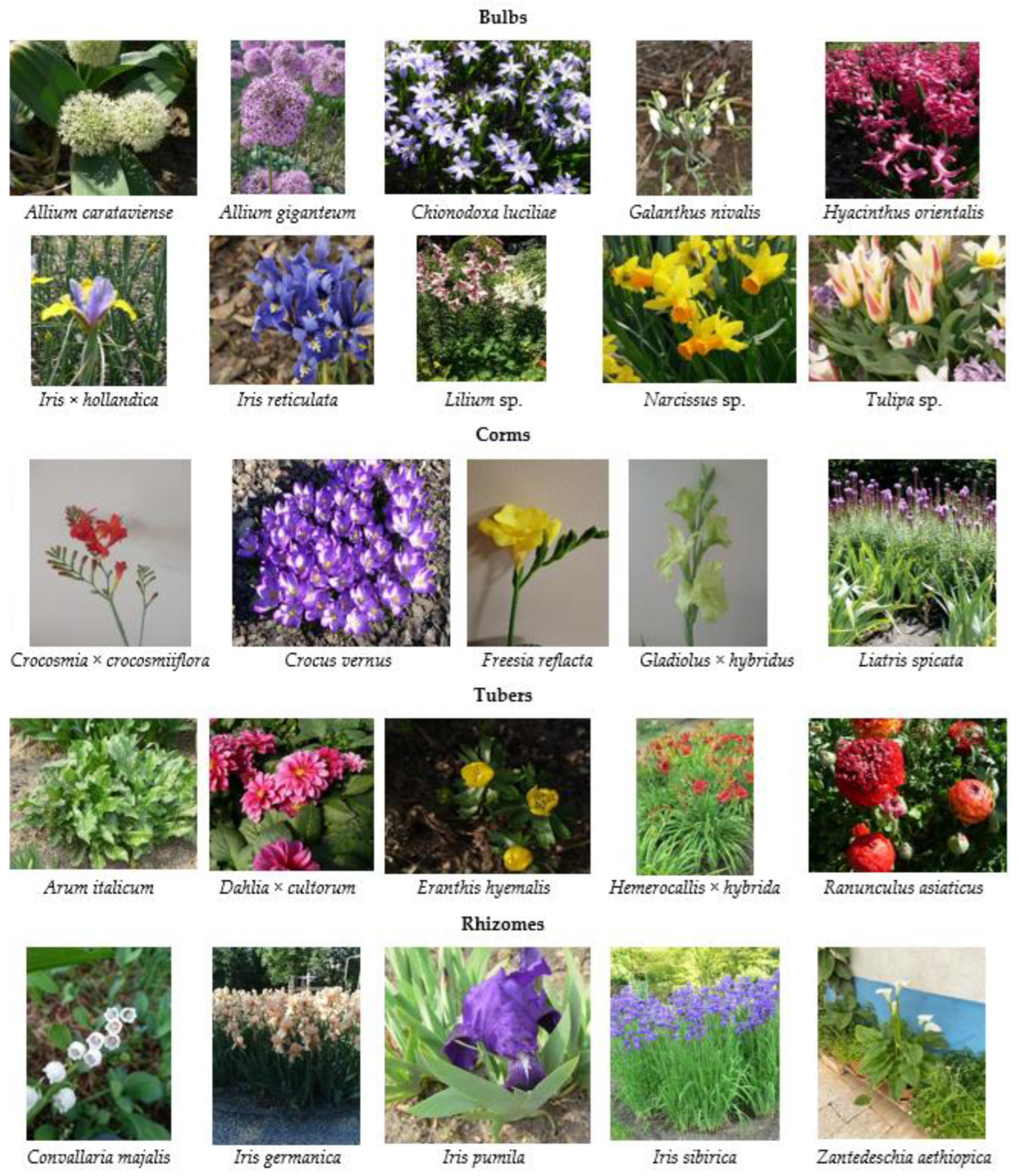 Agriculture 13 00855 g002 Agriculture 13 00855 g002