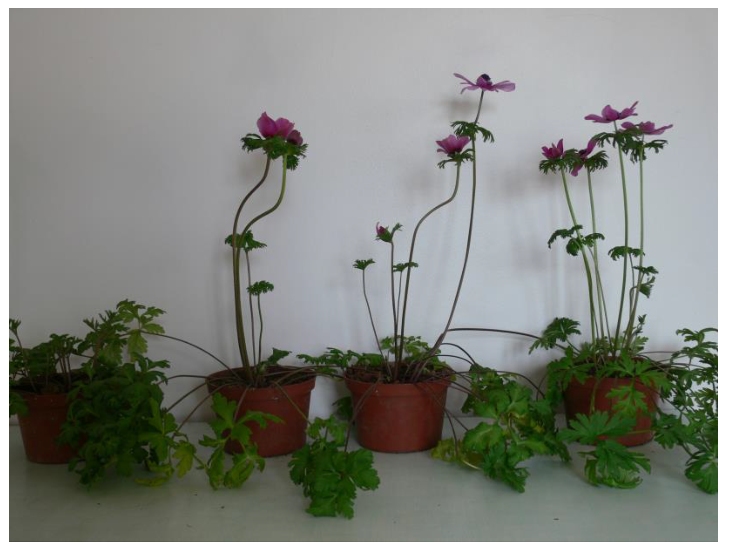 Agriculture 13 00855 g003 Agriculture 13 00855 g003