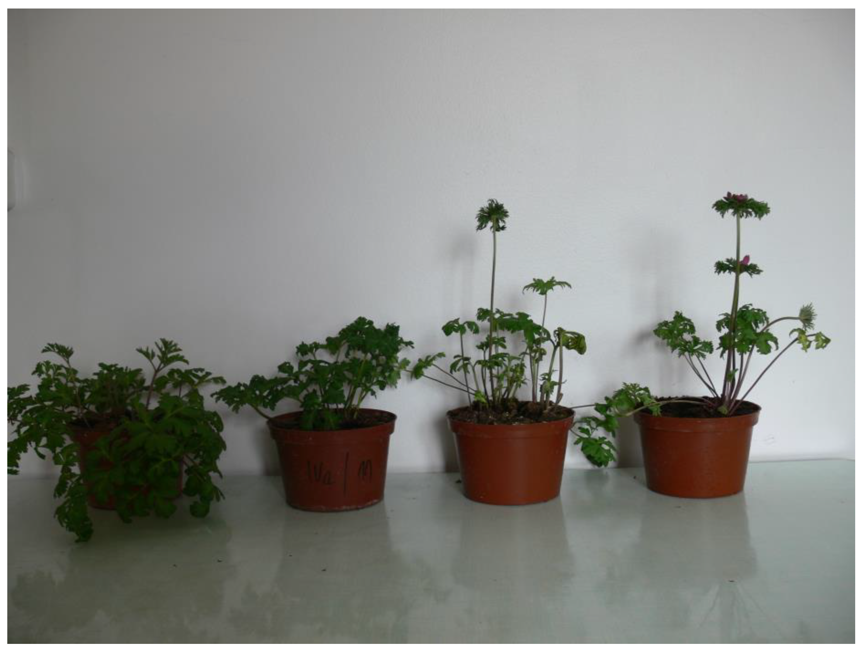 Agriculture 13 00855 g004 Agriculture 13 00855 g004