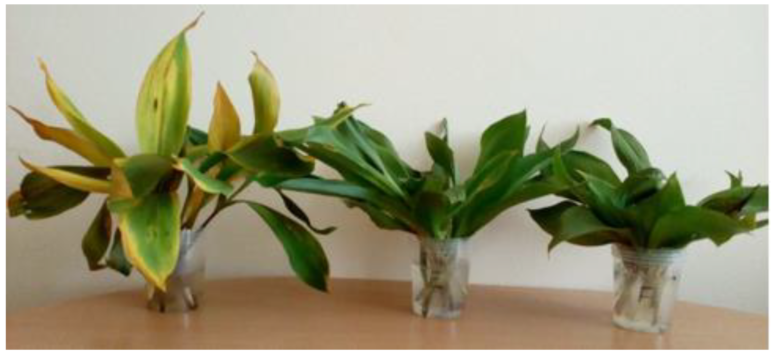 Agriculture 13 00855 g005 Agriculture 13 00855 g005